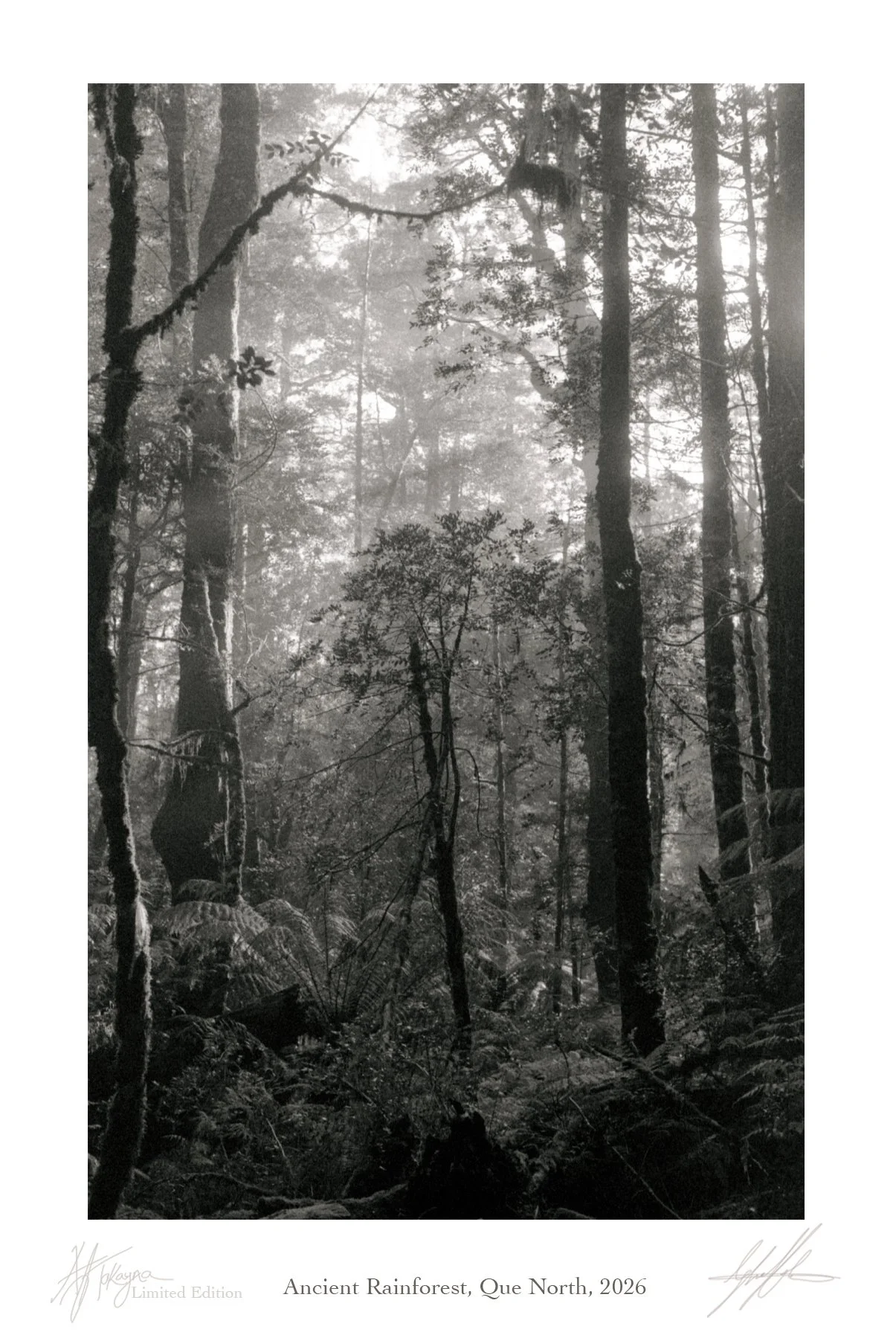 Landscape_3_6x4.jpg