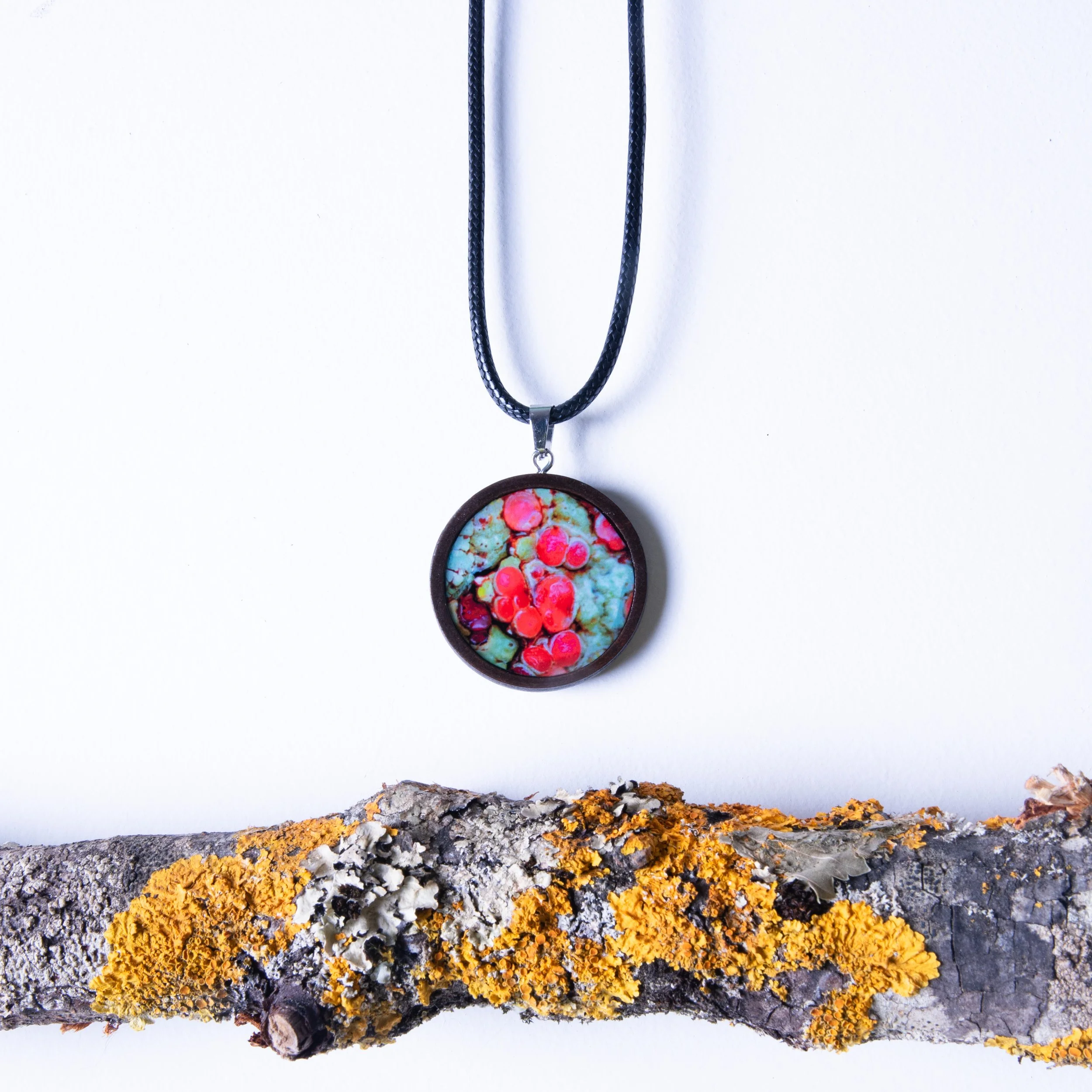 Large Wood fungi pendants 45 cm