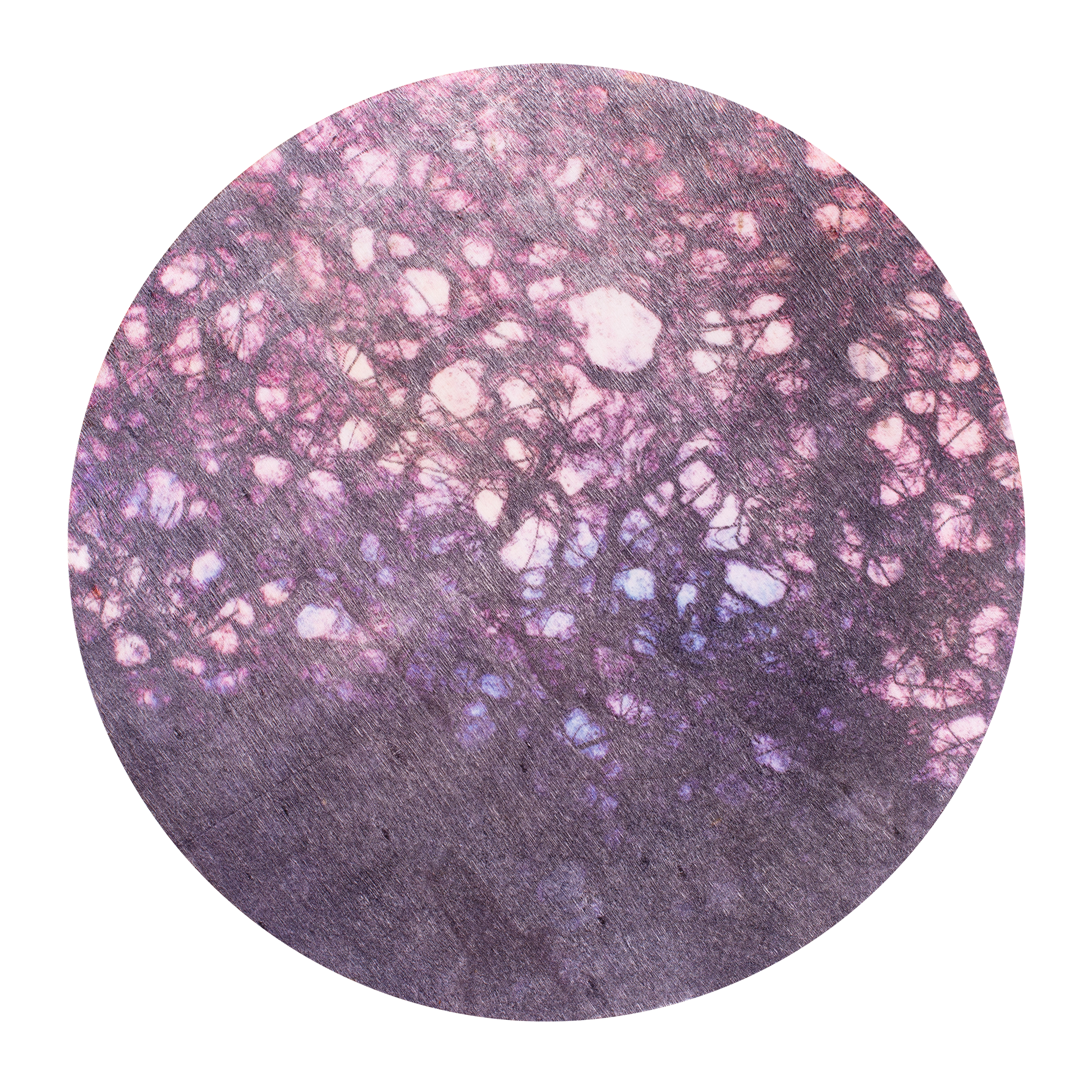 DSC_6286_SM_web transparent.png