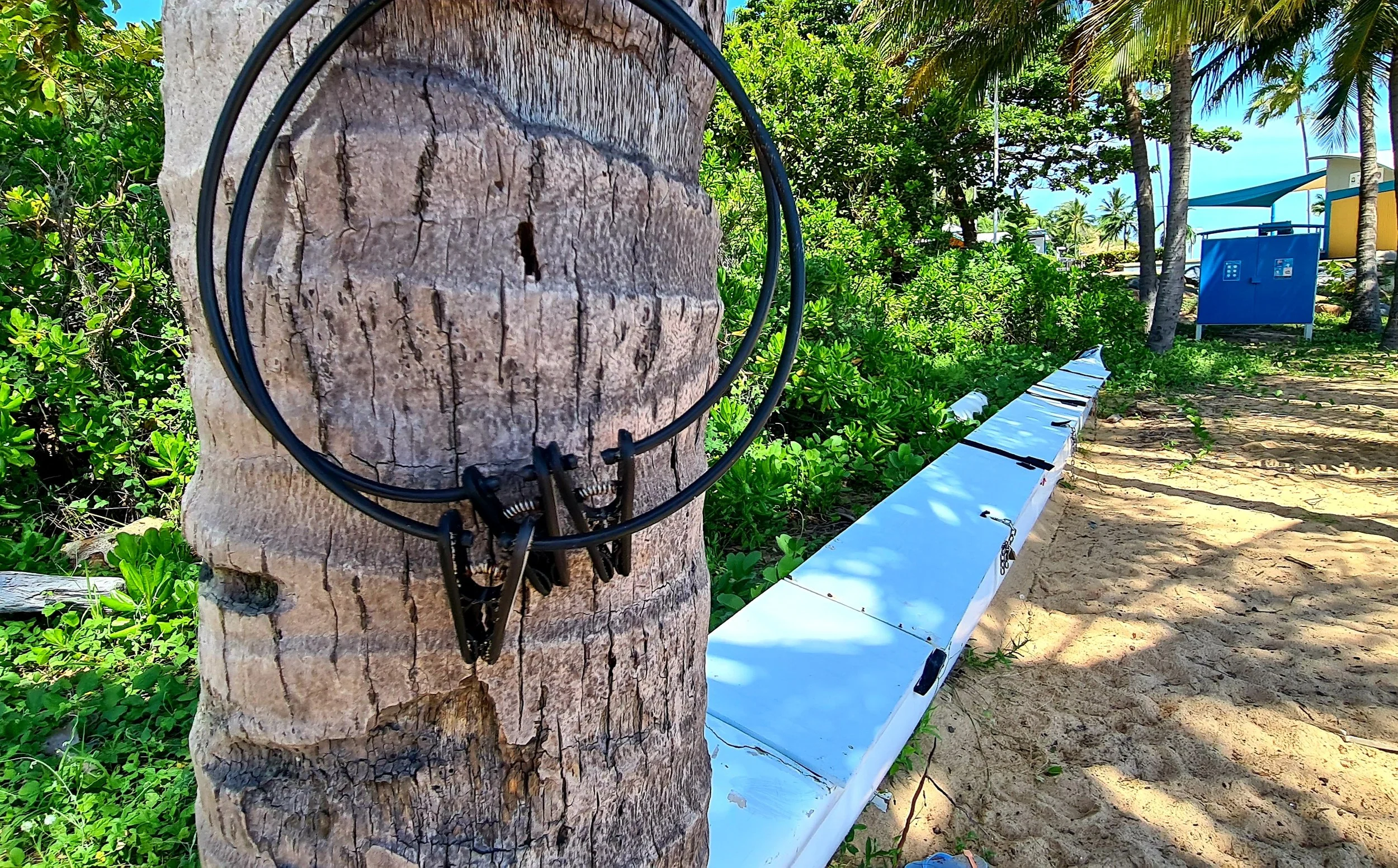 HYDRO HALOS - SINGLE AND DOUBLE CLIPS