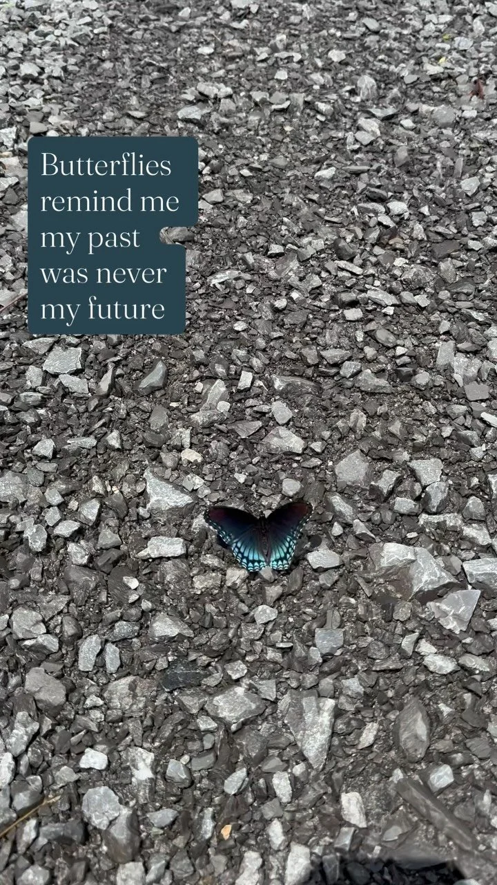 I’m so moved by the strength in a butterfly. Such beauty, in such a dainty gentle creature. One which came through darkness with incredible resilience, to become what it was always meant to become.
I’m thankful that for all the ashes of