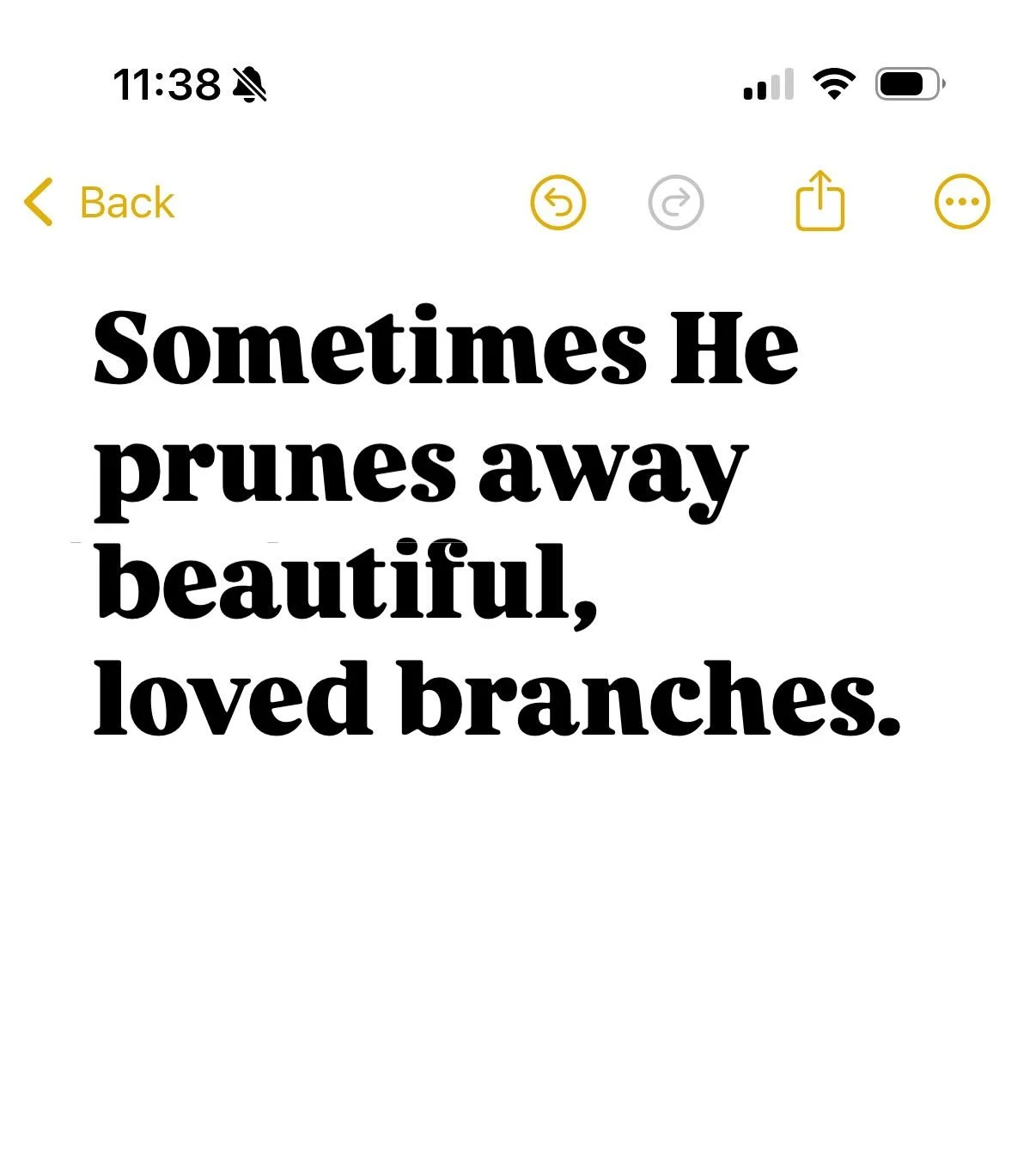 “I am the true vine, and my Father is the gardener.” John 15:1 NIV
Sometimes He prunes away beautiful, loved branches. Pruning will sometimes involve trimming away things you love. Branches which seem to be thriving and full of