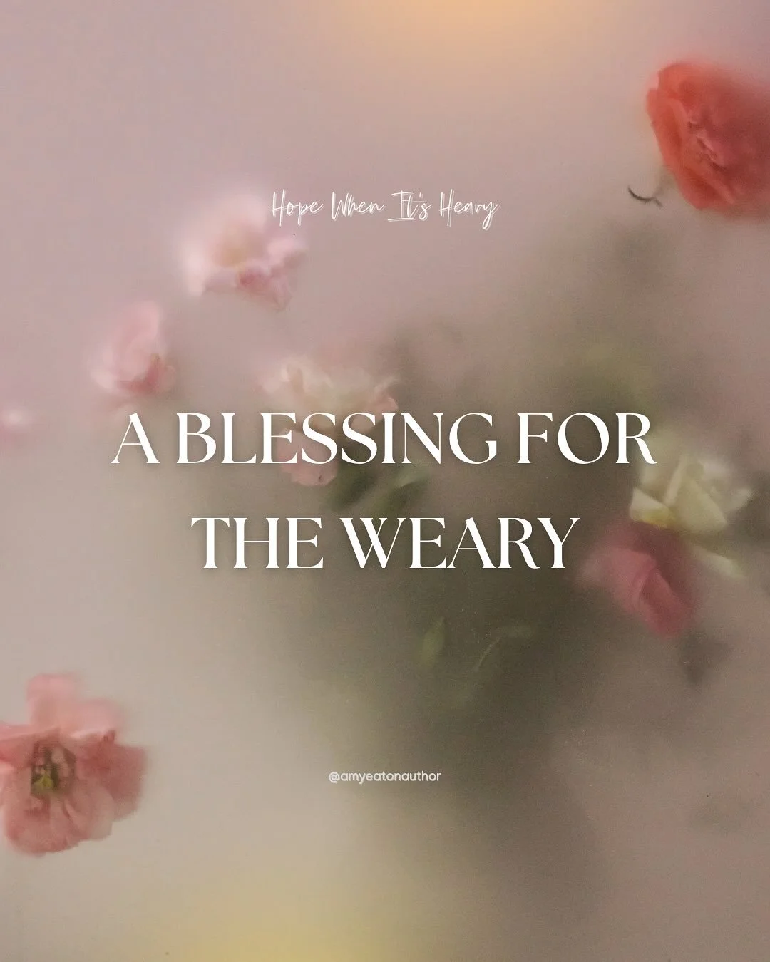 A blessing for the weary 🤍

#hopewhenitsheavy #hopewhenitsheavybook