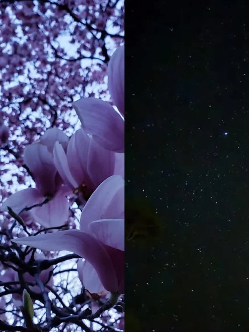 Maundy Thursday &bull; This day, Jesus washed the feet of the disciples and shared the famous last supper. 

He broke bread with friends who would soon abandon Him, and one that would sell Him. He passed the cup as a covenant, knowing that hours late