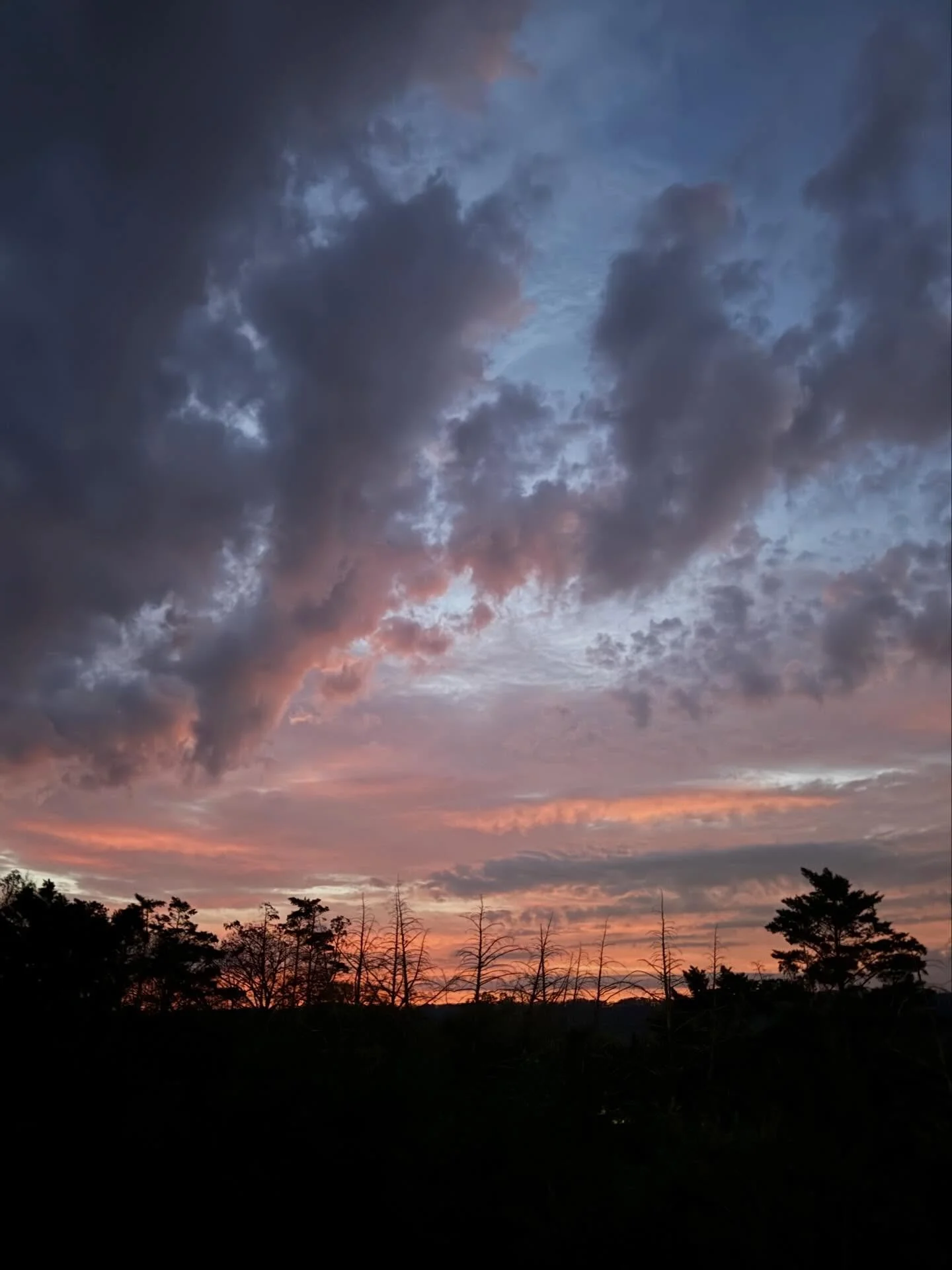 Tenebrae // Good Friday ❤️