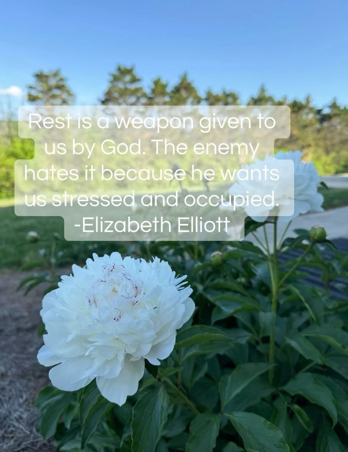 Fight for rest. Protect your rest like your life depends on it, because the life inside of you does. 

You can&rsquo;t rise to what you&rsquo;re called to if you&rsquo;re exhausted and spinning all the plates on your own strength and fumes 🙏

Rest i