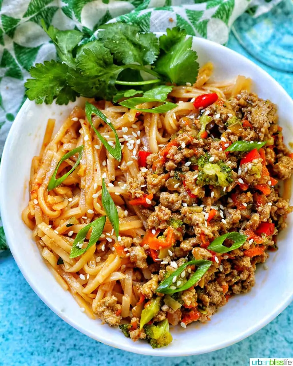 Ground Turkey Teriyaki & Noodles | GF, DF