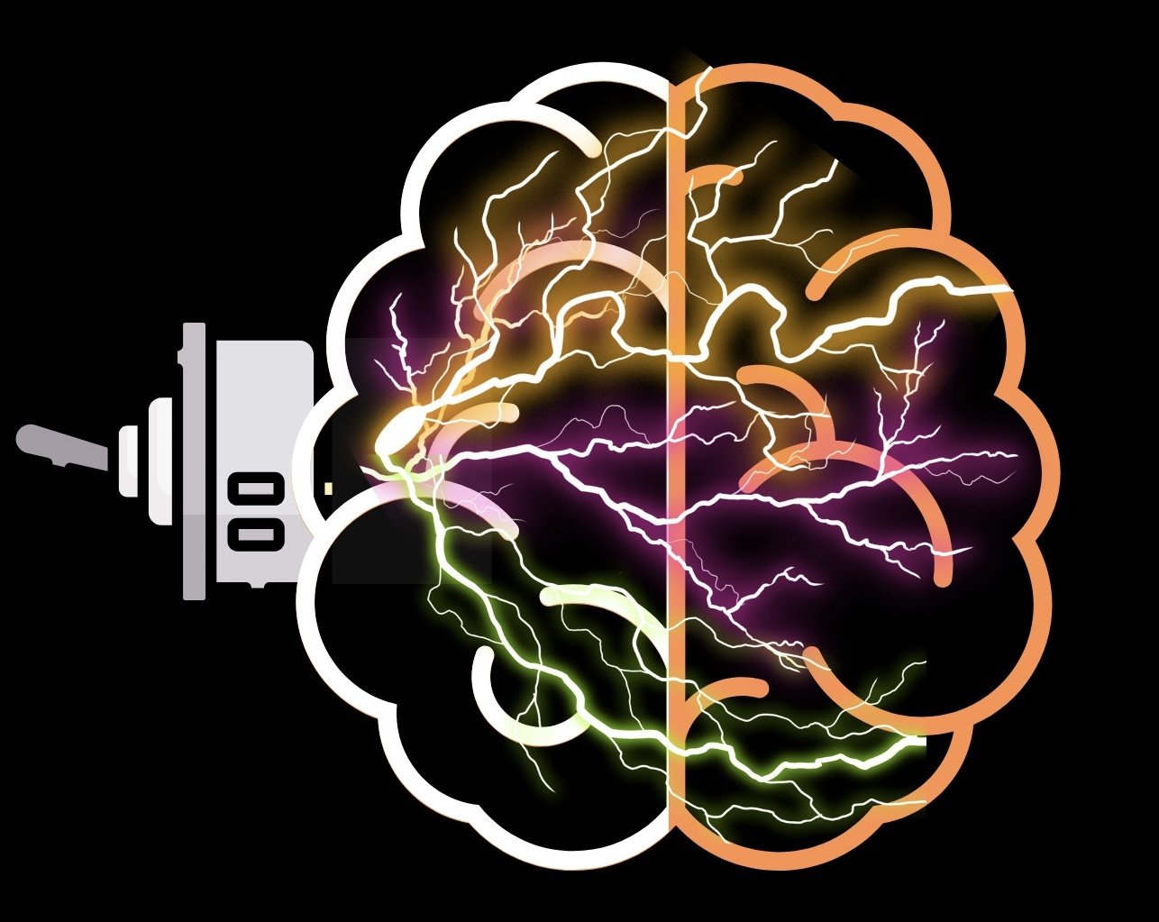 THE MINDSET SWITCH