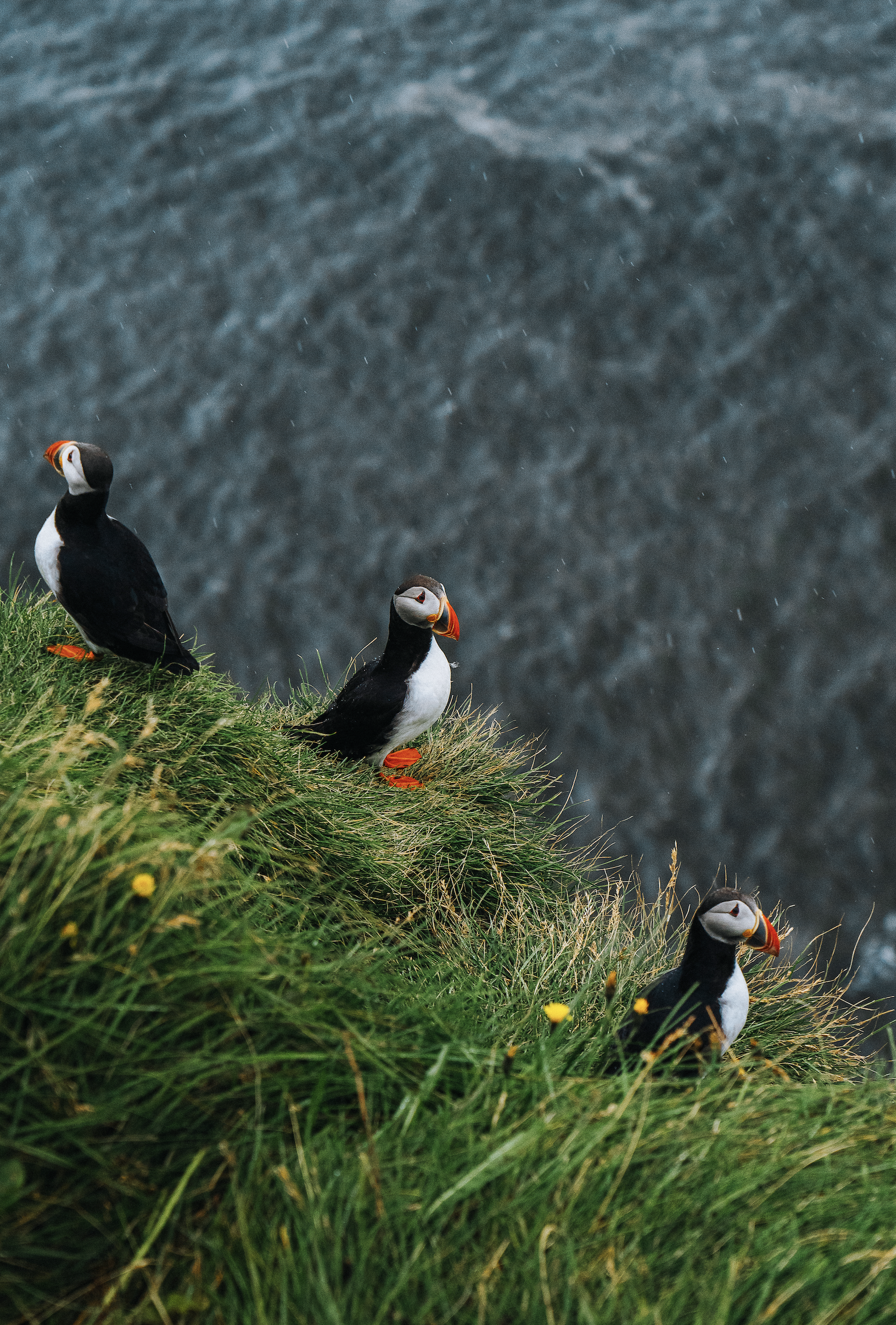 Screenshot 2026-04-24 at 12.05.20 PM.png