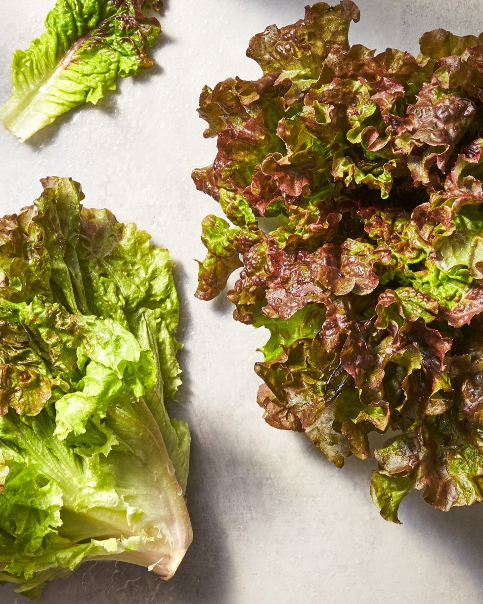 80200_FreshDigitalAdBanners_Lettuce.jpg