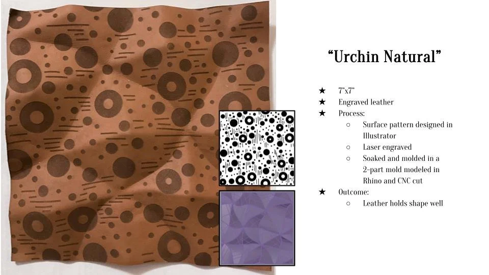 Zoë Chavez Sample Set #2 Presentation (3).jpg