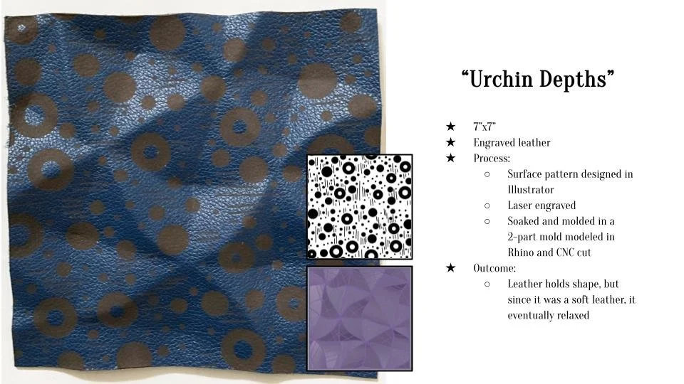 Zoë Chavez Sample Set #2 Presentation (2).jpg