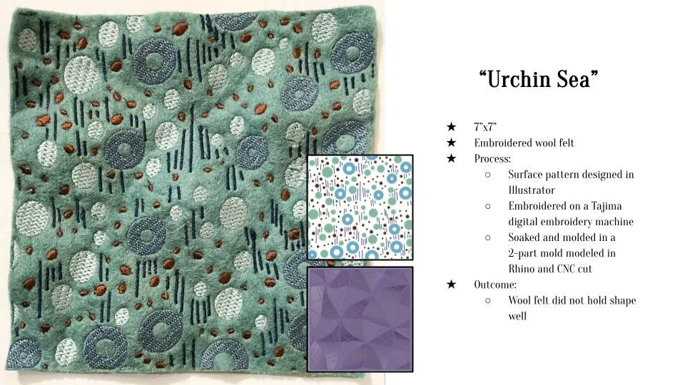 Zoë Chavez Sample Set #2 Presentation (1).jpg