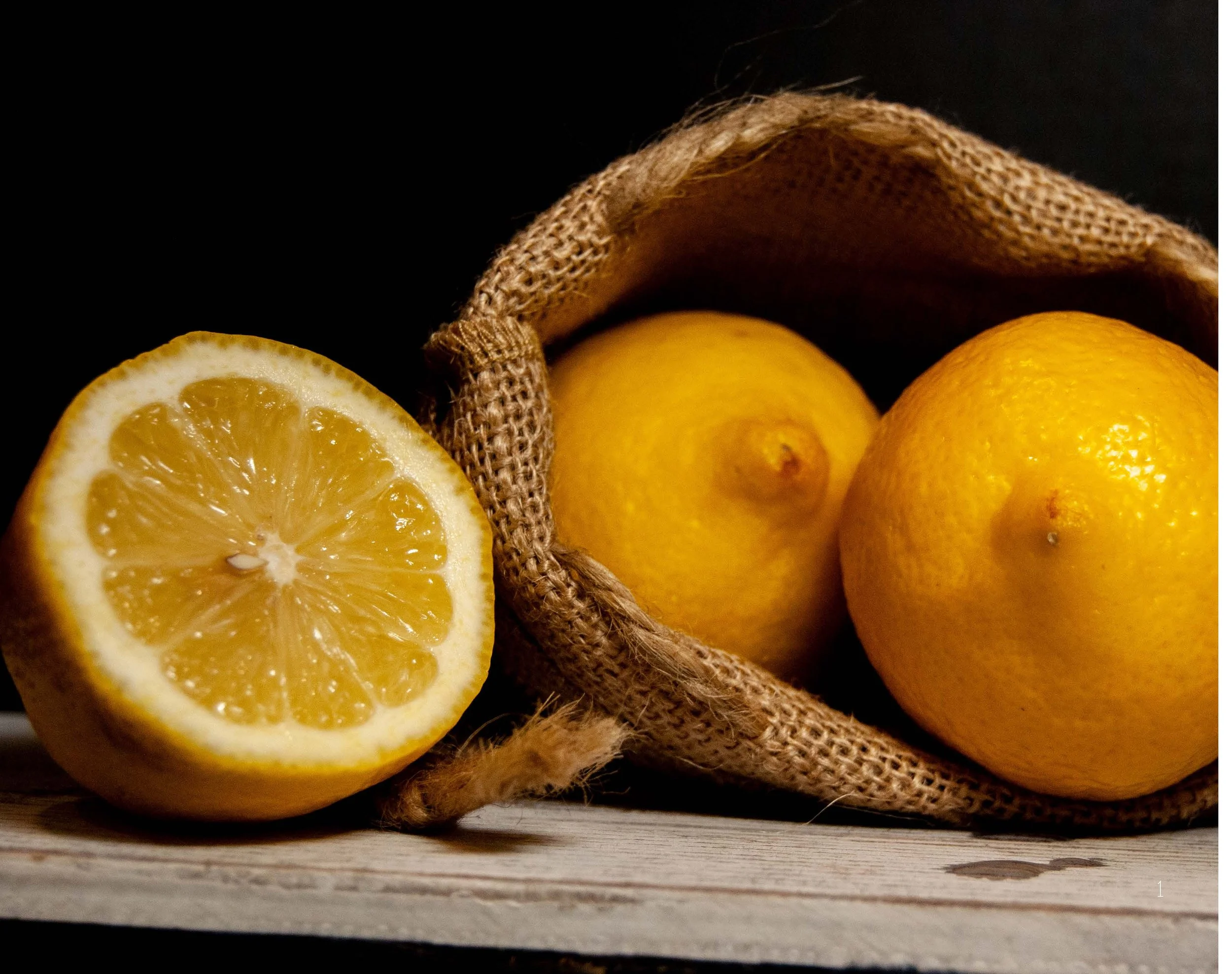 Fiarland Style Guide Final_Page_02.jpg