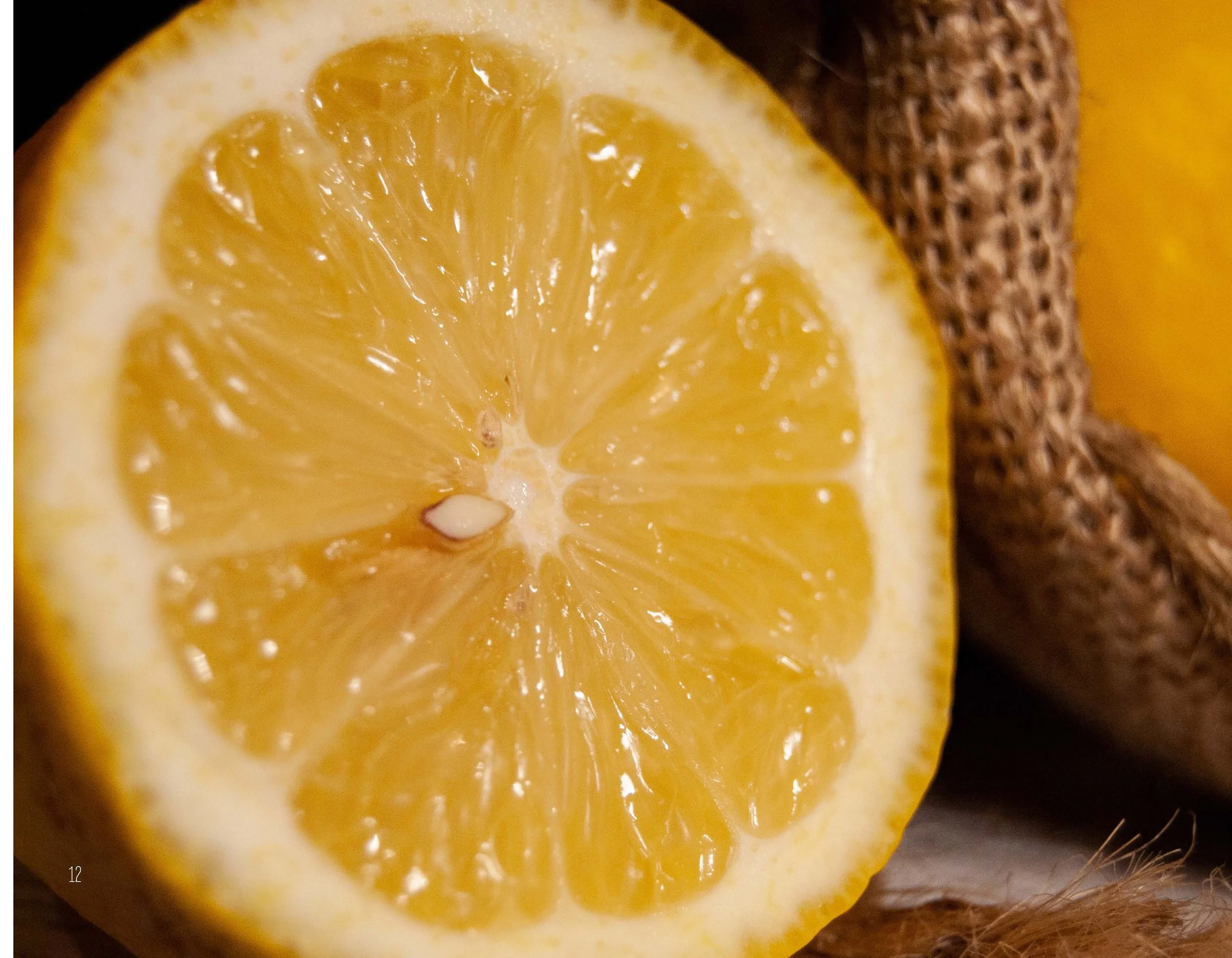 Fiarland Style Guide Final_Page_13.jpg