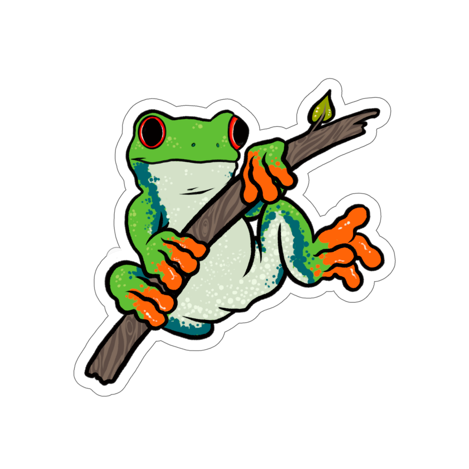 Red Eyed Tree Frog Sticker — Creepy Crawly Apparel