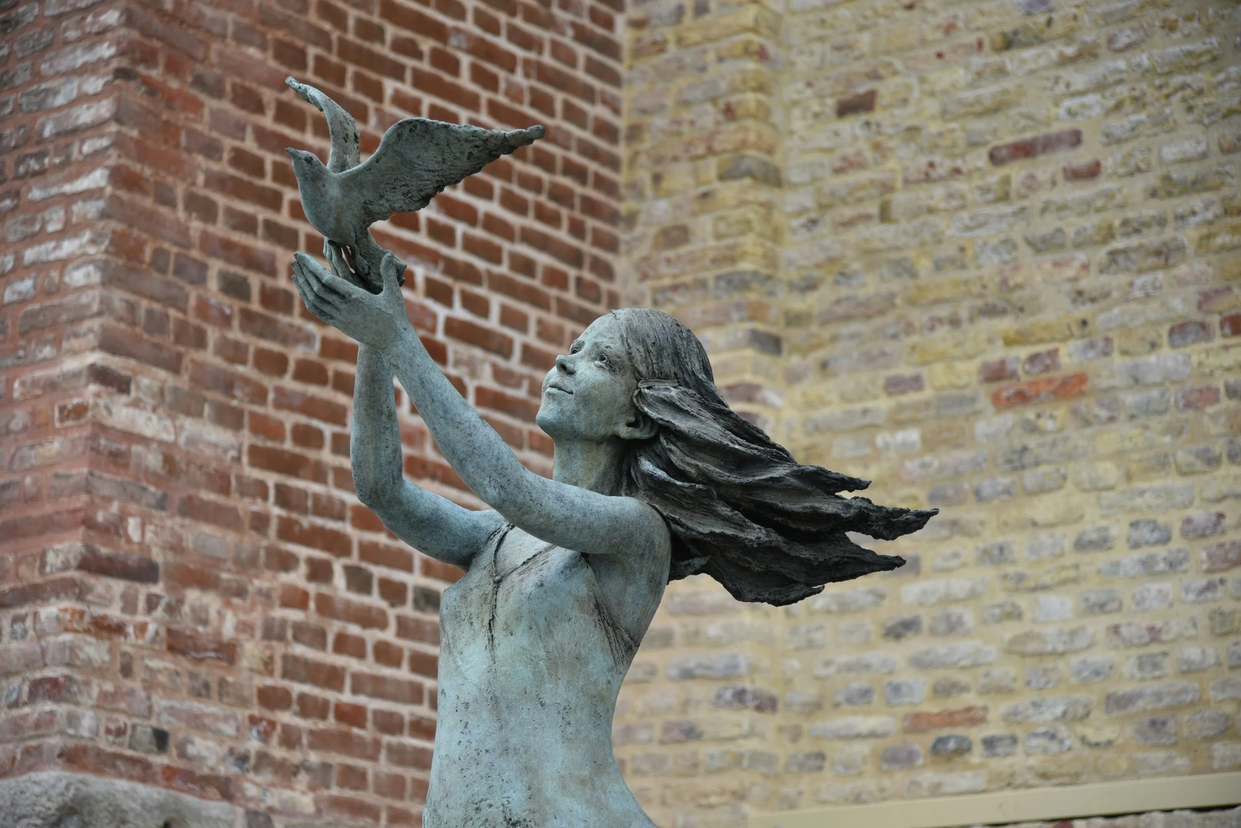 What does it mean to release a dove?