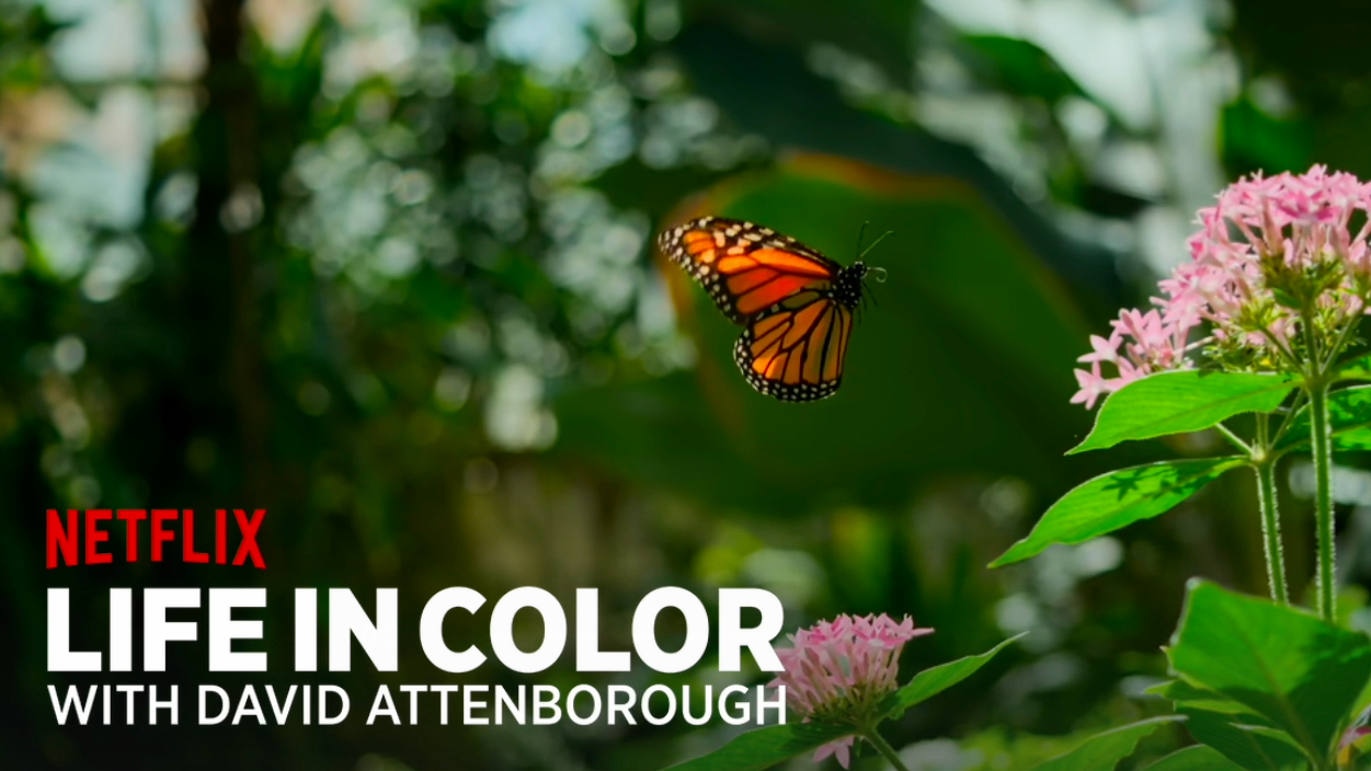 Screenshot 2025-10-20 at 10.23.13 am.png