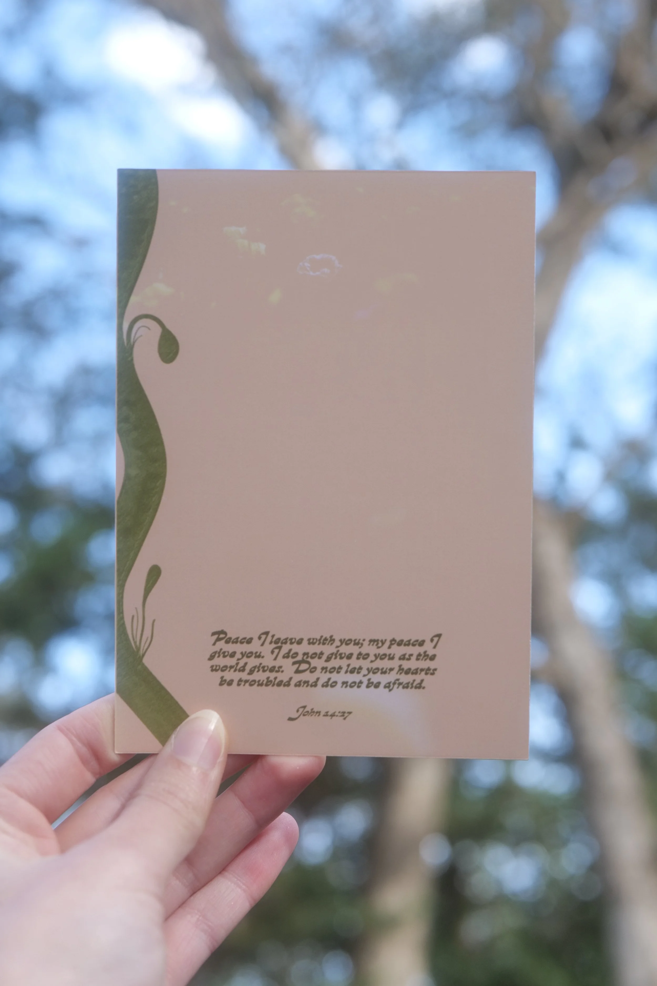 Note Cards, Tulip Photos, Tesselaar Tulip Festival Photography, Design Cards