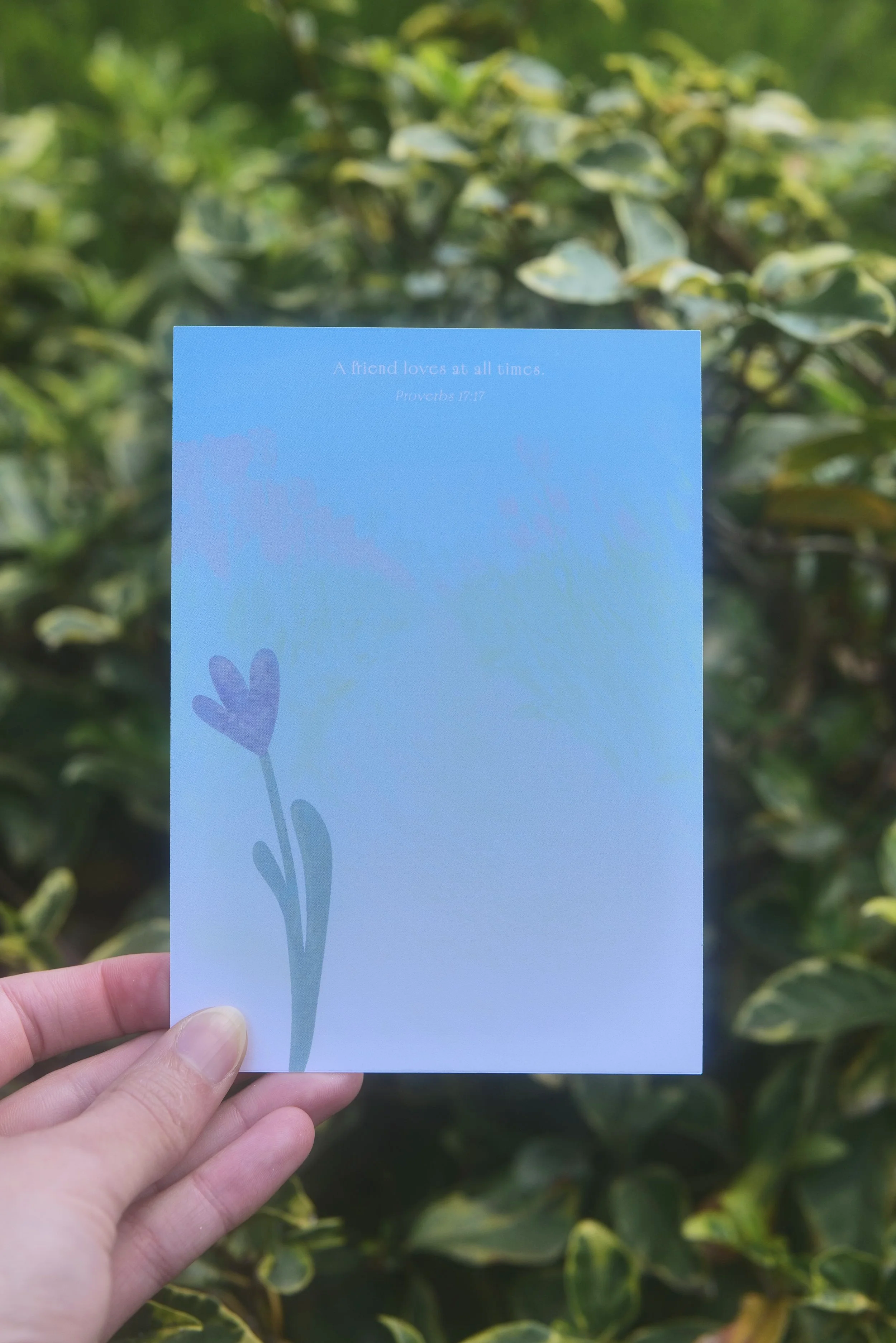 Note Cards, Tulip Photos, Tesselaar Tulip Festival Photography, Design Cards