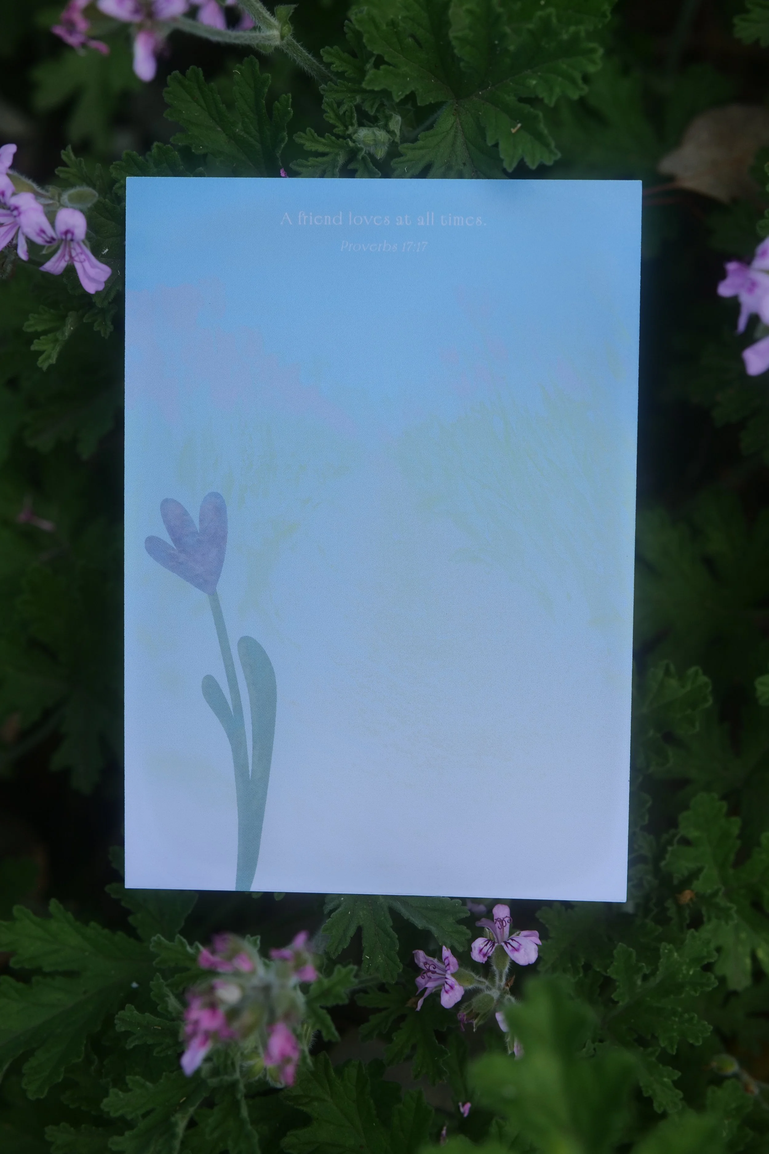 Note Cards, Tulip Photos, Tesselaar Tulip Festival Photography, Design Cards