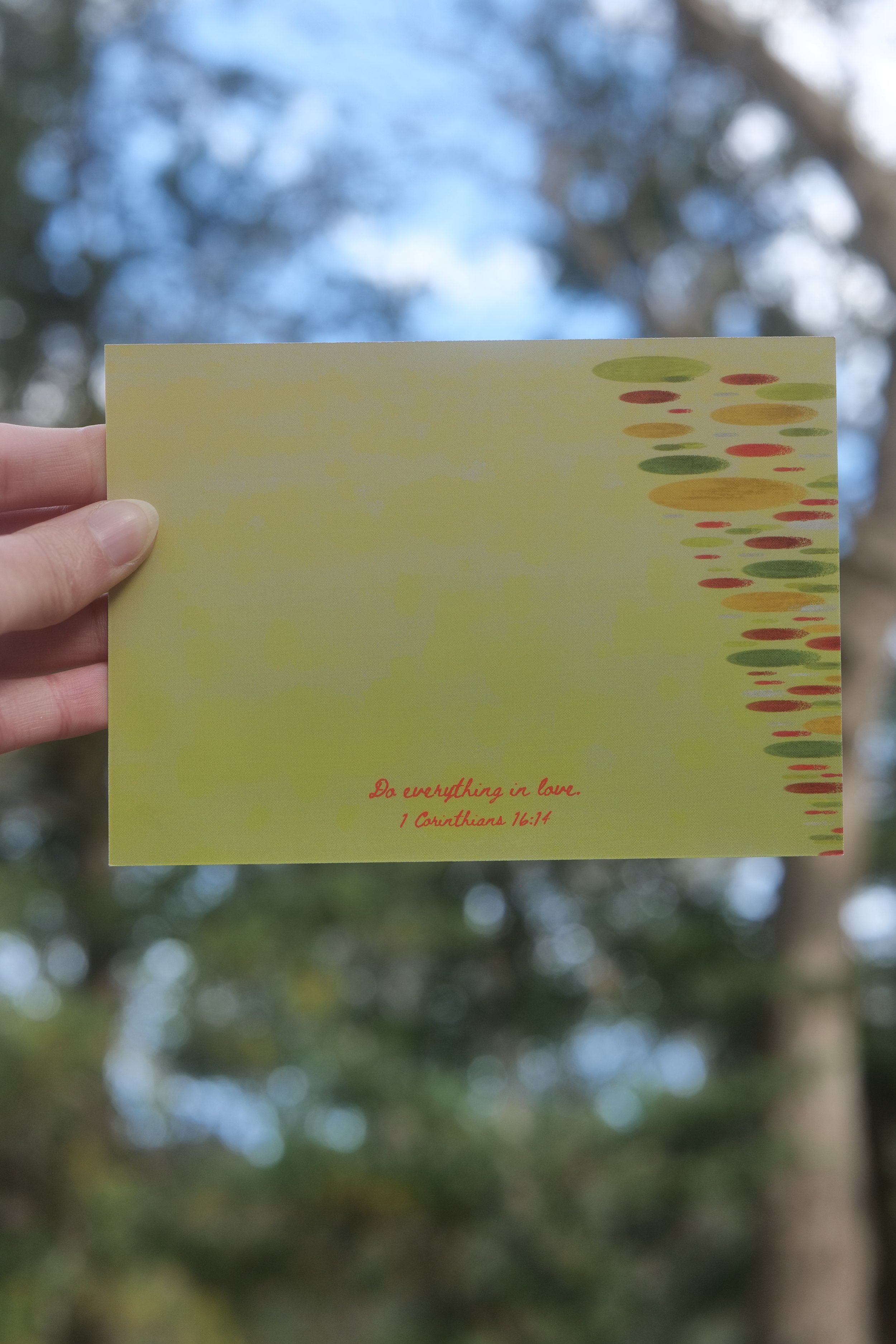 Note Cards, Tulip Photos, Tesselaar Tulip Festival Photography, Design Cards