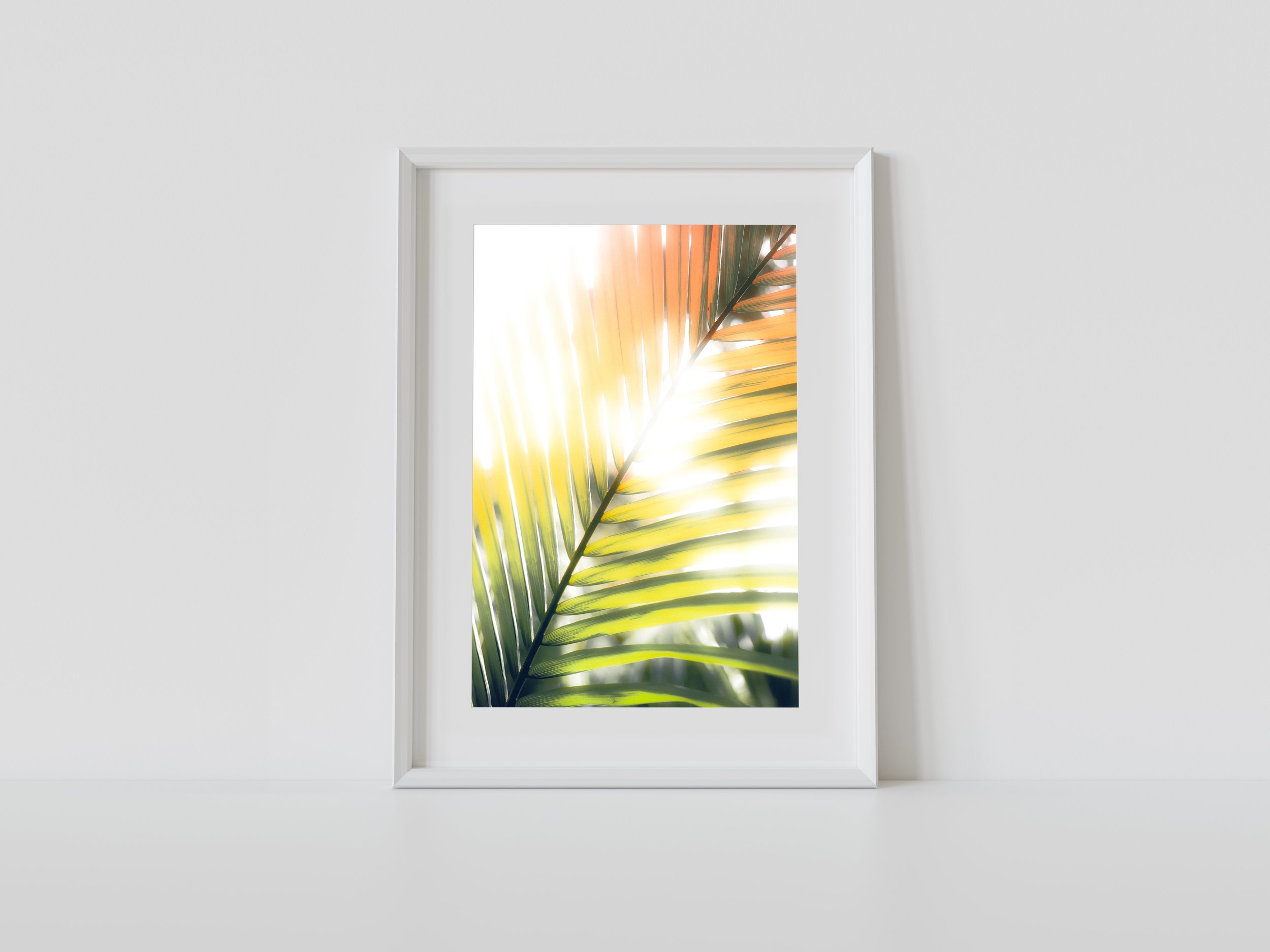 Fernlit Glow Forest, Fine Art Prints, Eltham Prints