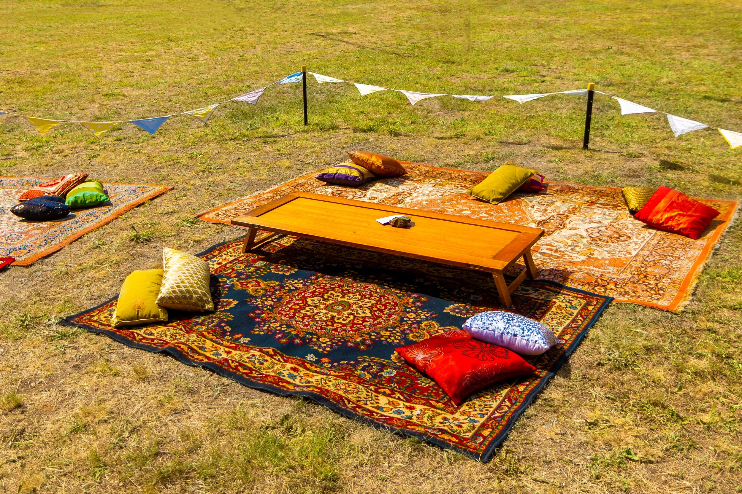A VIP picnic set up, including a coffee table, rugs and cushions.
