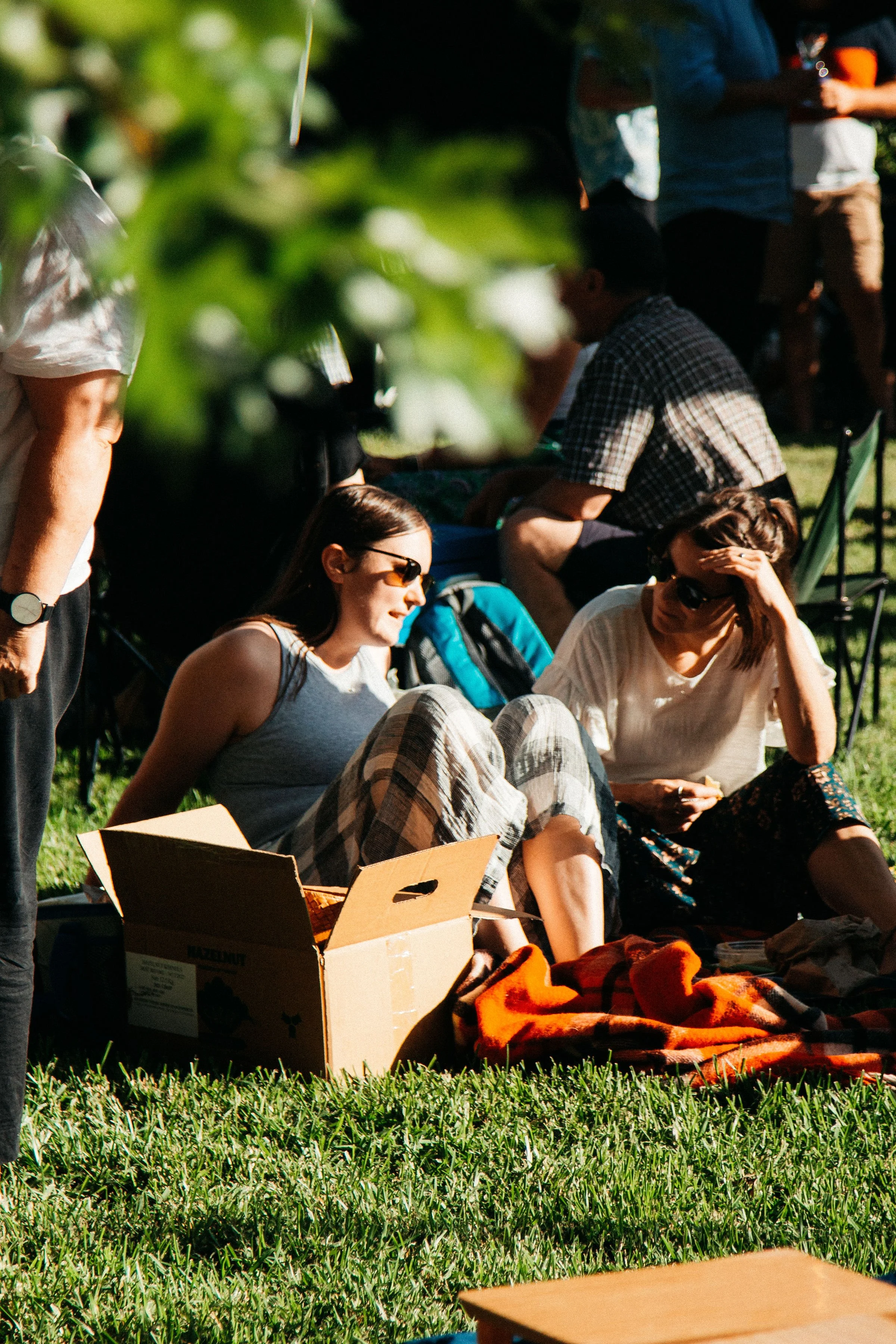 An image of a woman relaxing on the grass in a serene outdoor environment.