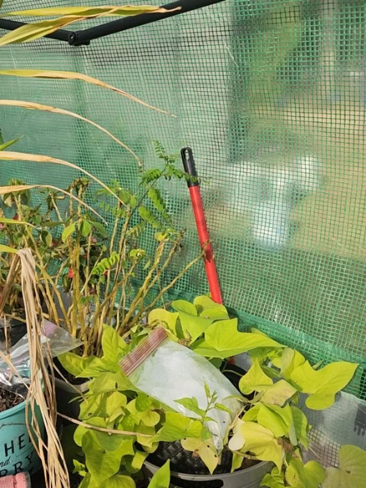 THE FARM LIFE: Having fun playing in dirt