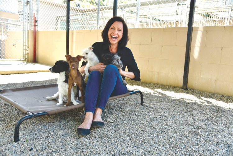 jennifer_with_dogs.png