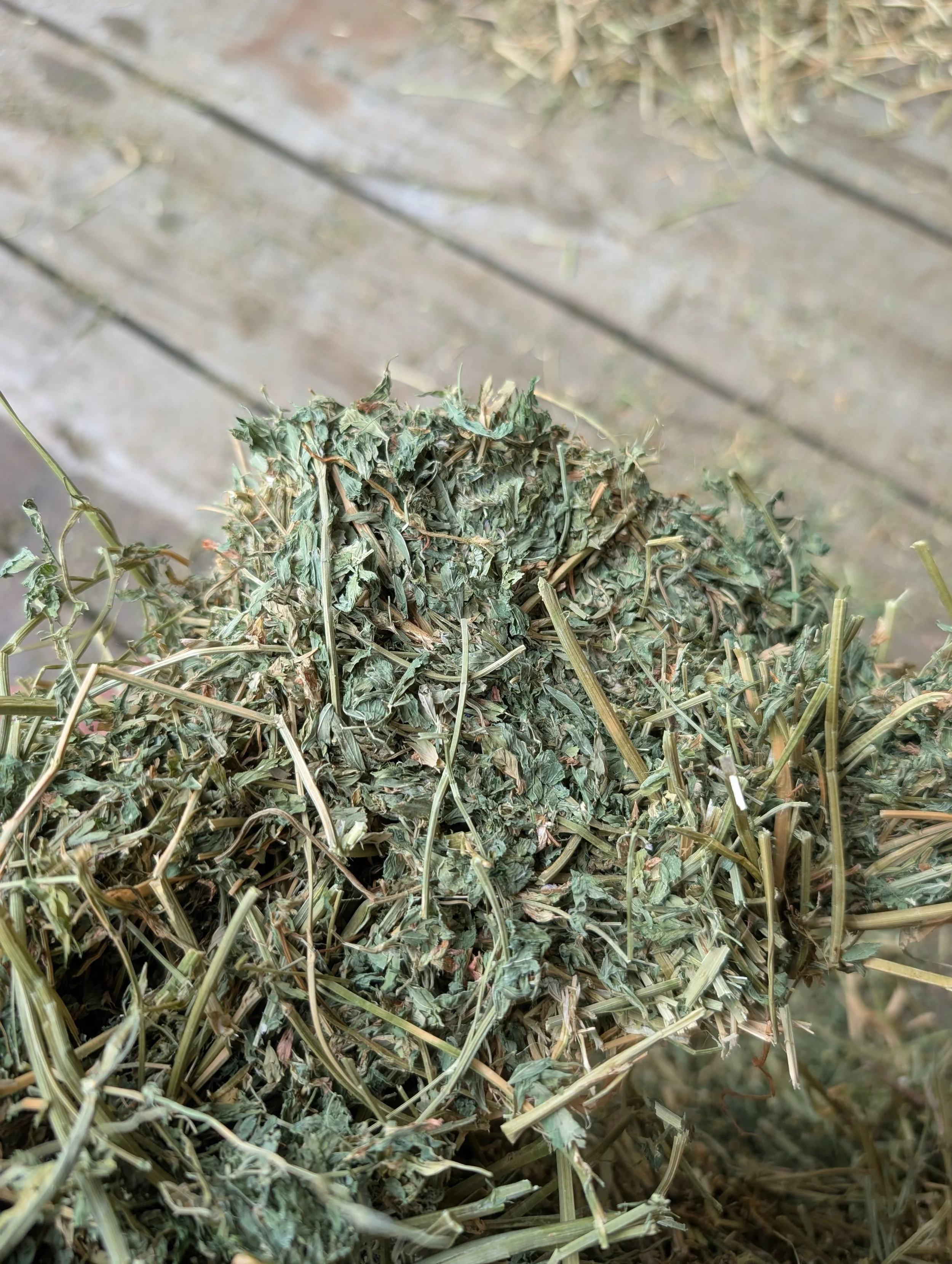 2nd Cut WA Value Alfalfa