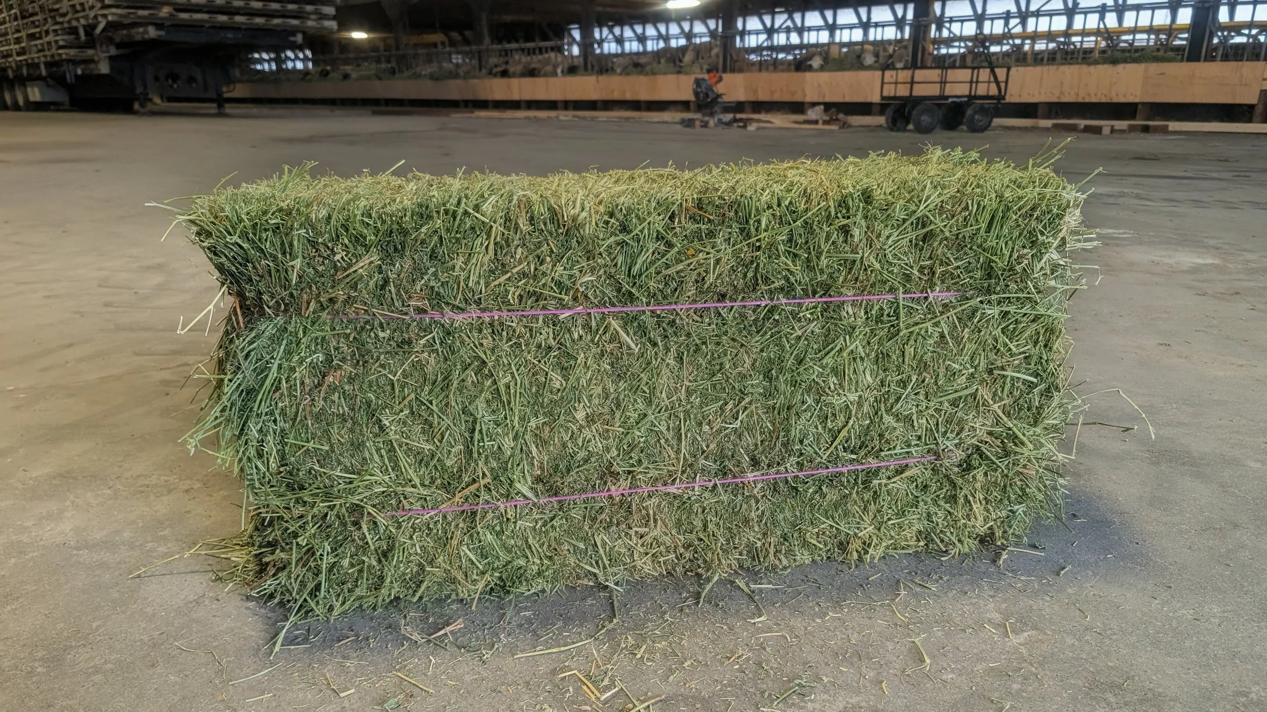 2nd Cut AB Alfalfa