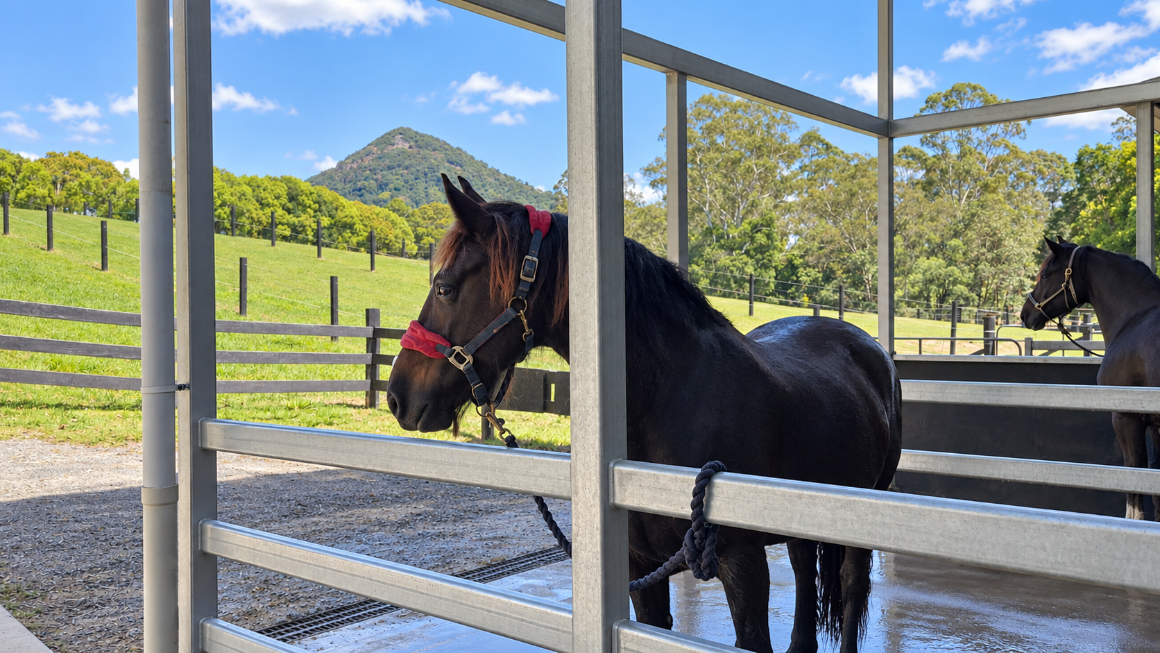 Luxury Equestrian Estate Cooroy Mountain Noosa Hinterland-042.png
