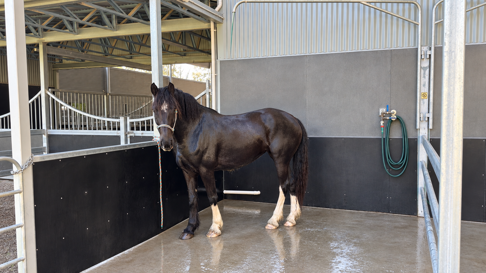 Luxury Equestrian Estate Cooroy Mountain Noosa Hinterland-043.png