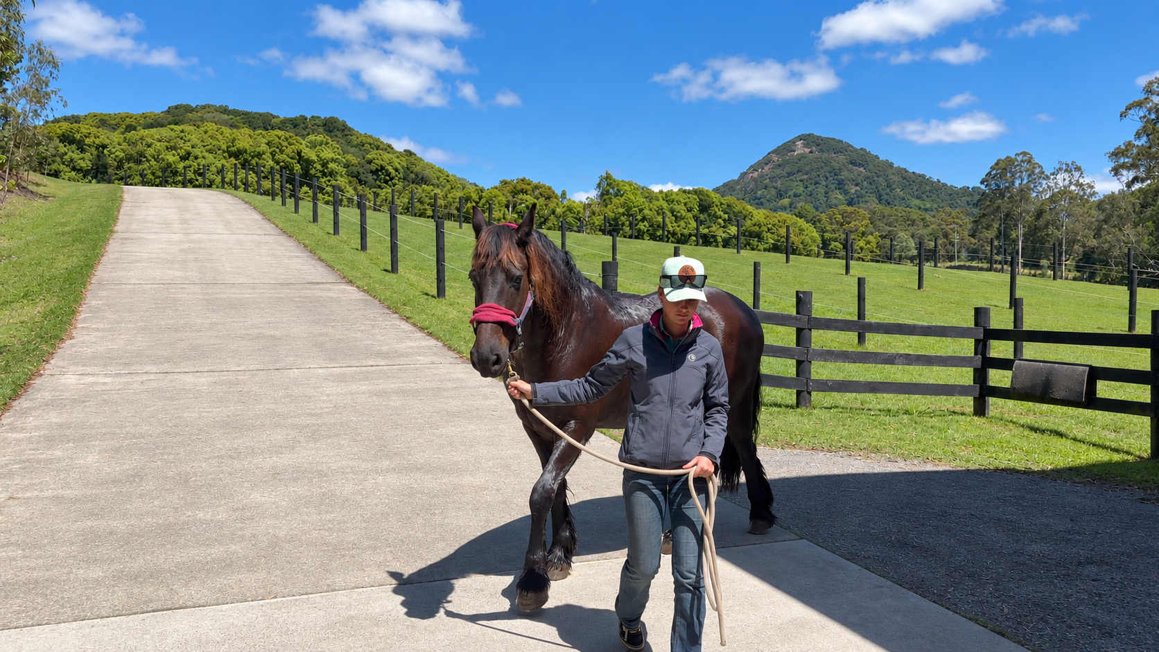 Luxury Equestrian Estate Cooroy Mountain Noosa Hinterland-044.png