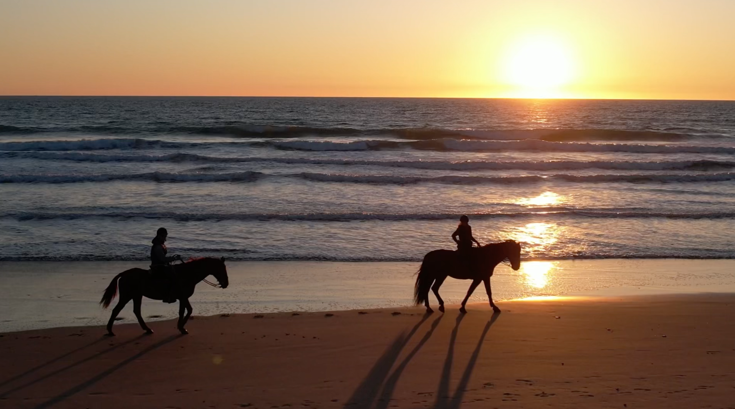 Website - Sunset ride noos north shore.png