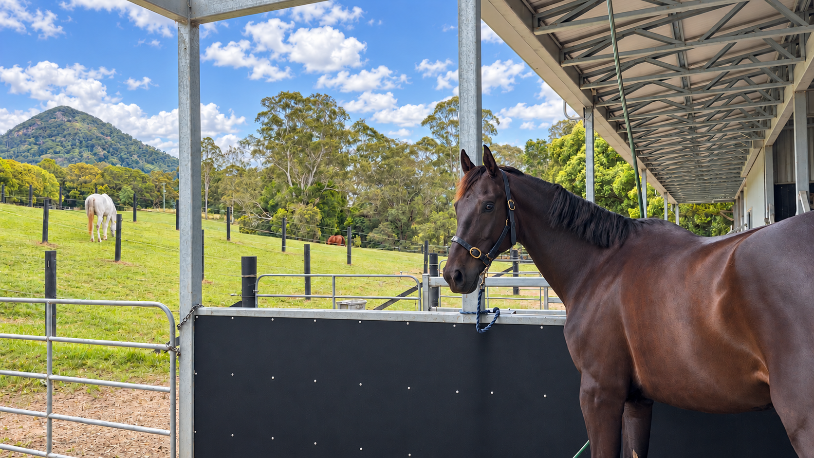 Luxury Equestrian Estate Cooroy Mountain Noosa Hinterland-031.png