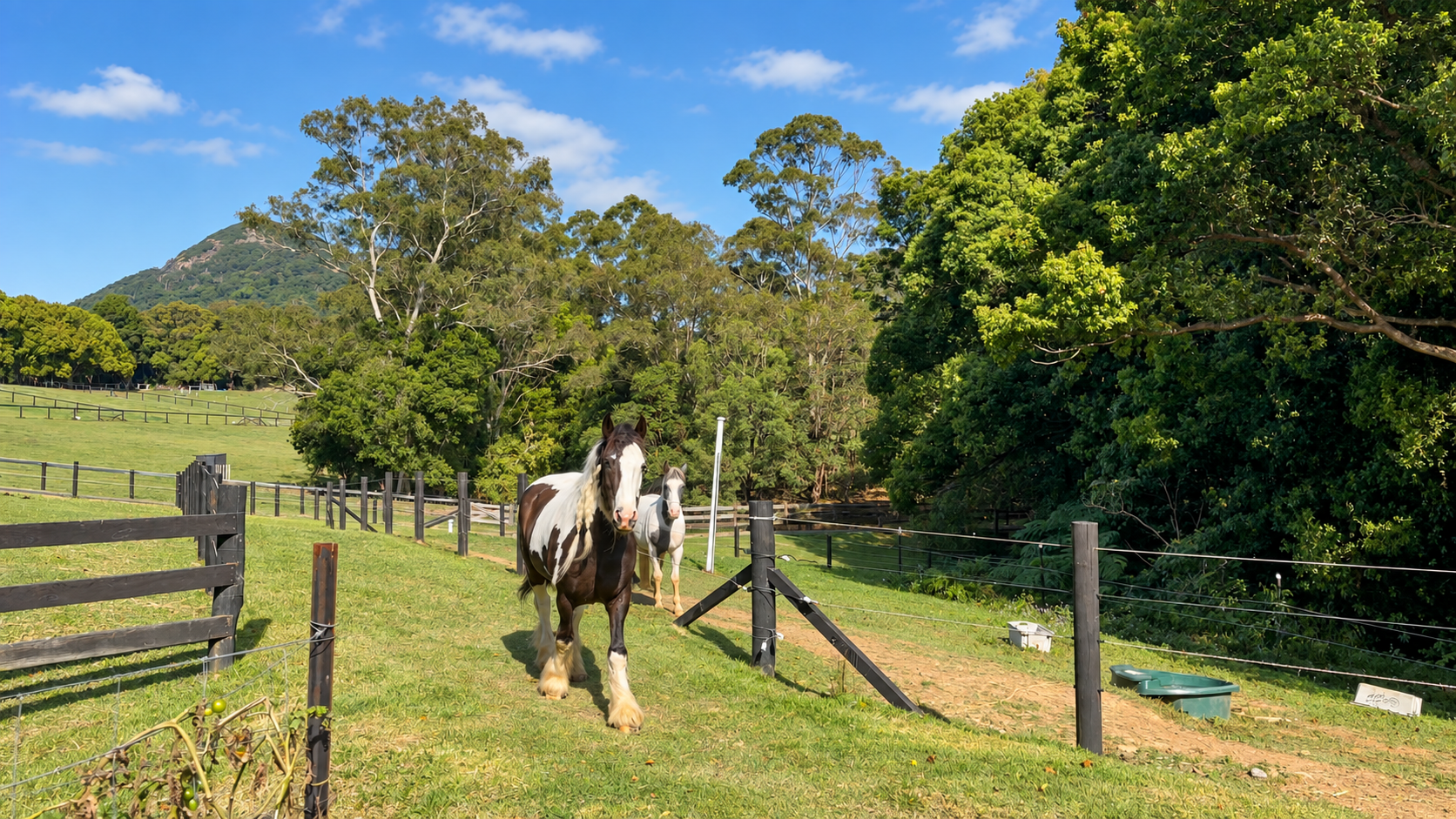 Luxury Equestrian Estate Cooroy Mountain Noosa Hinterland-033.png