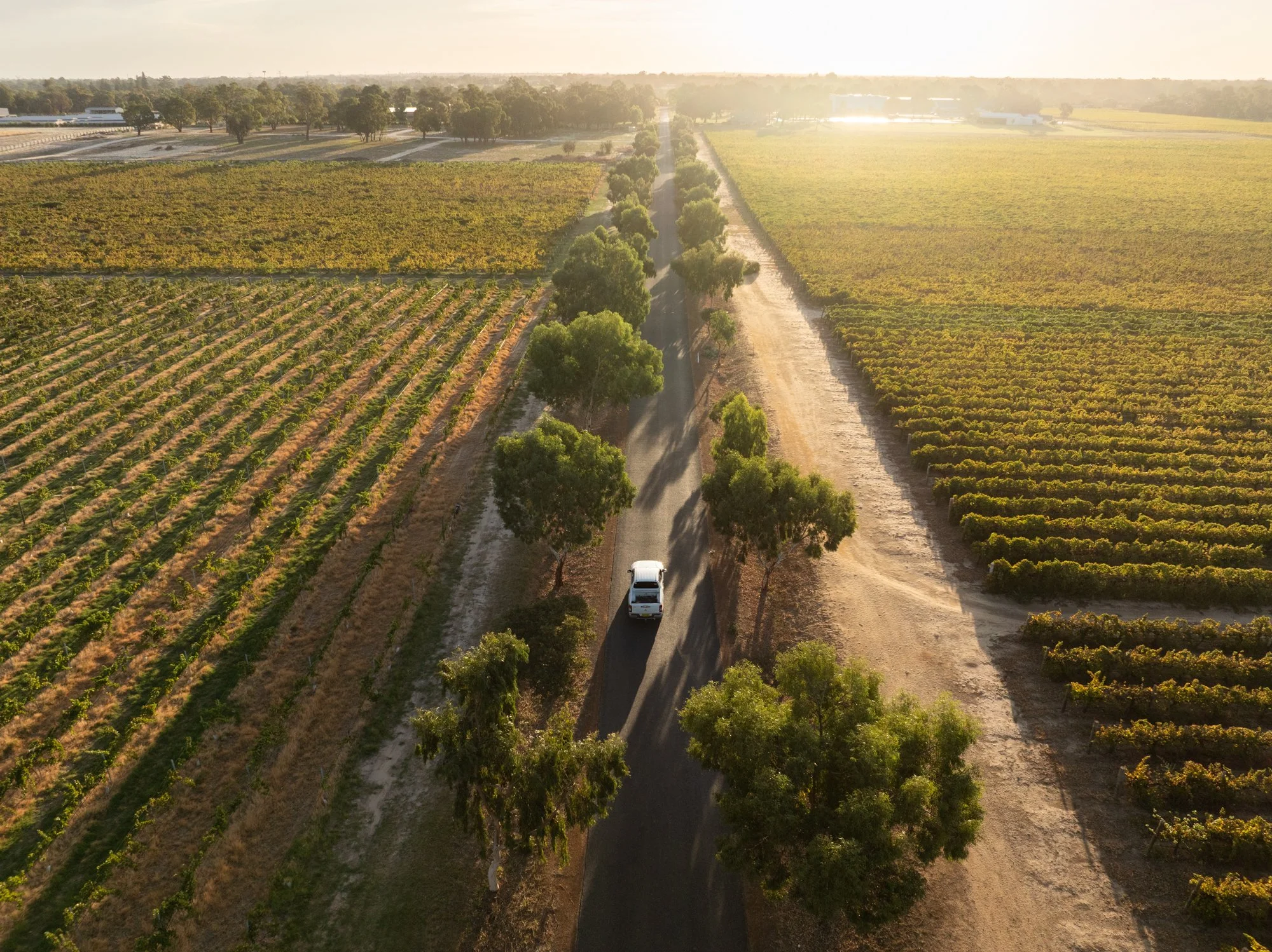 DJI_0793.jpg