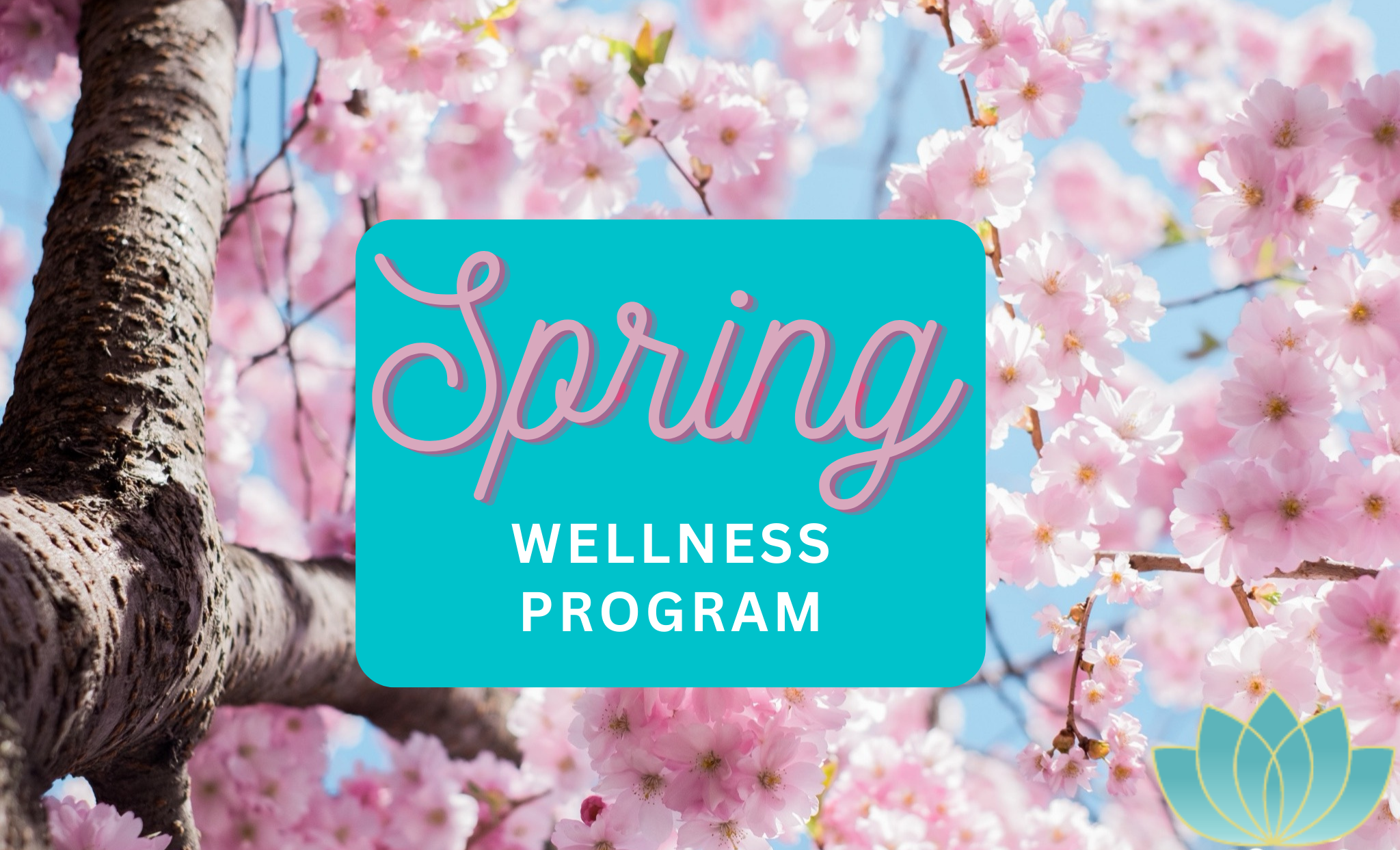 Spring into Wellness with Bridgette Shea