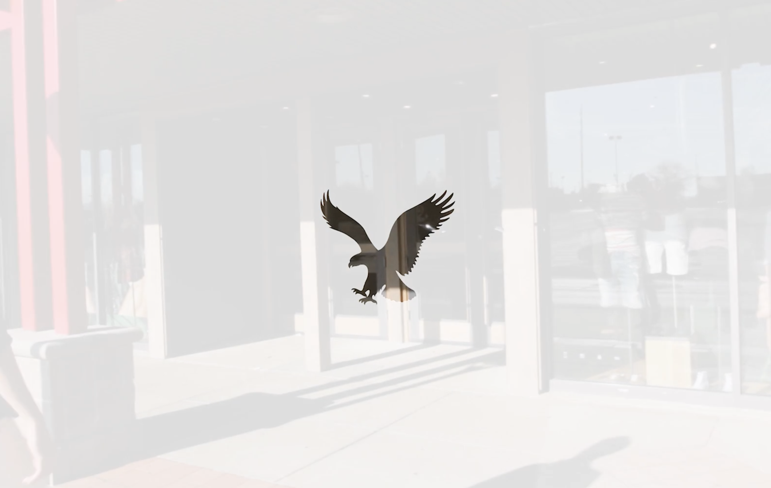 Client: American Eagle Outfitters // Retail Strategy