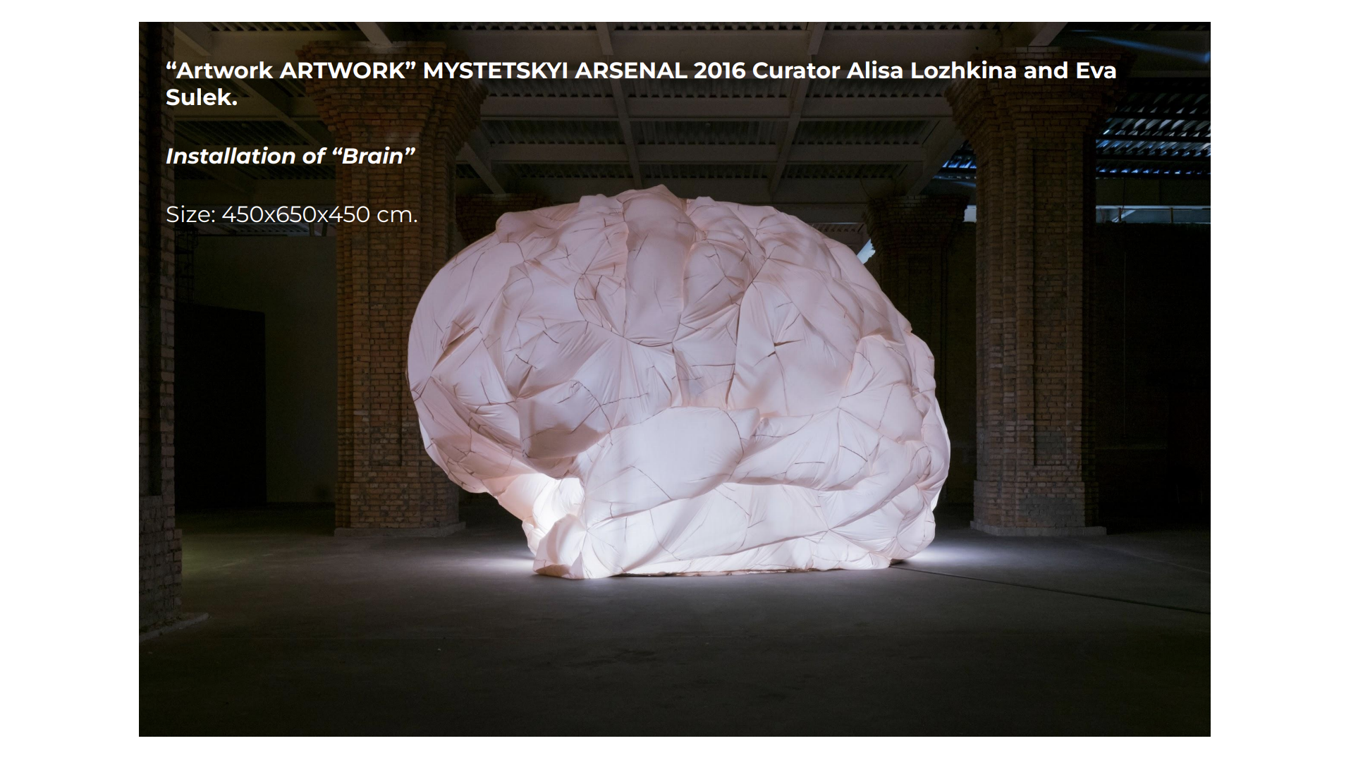 Brain Installation.png