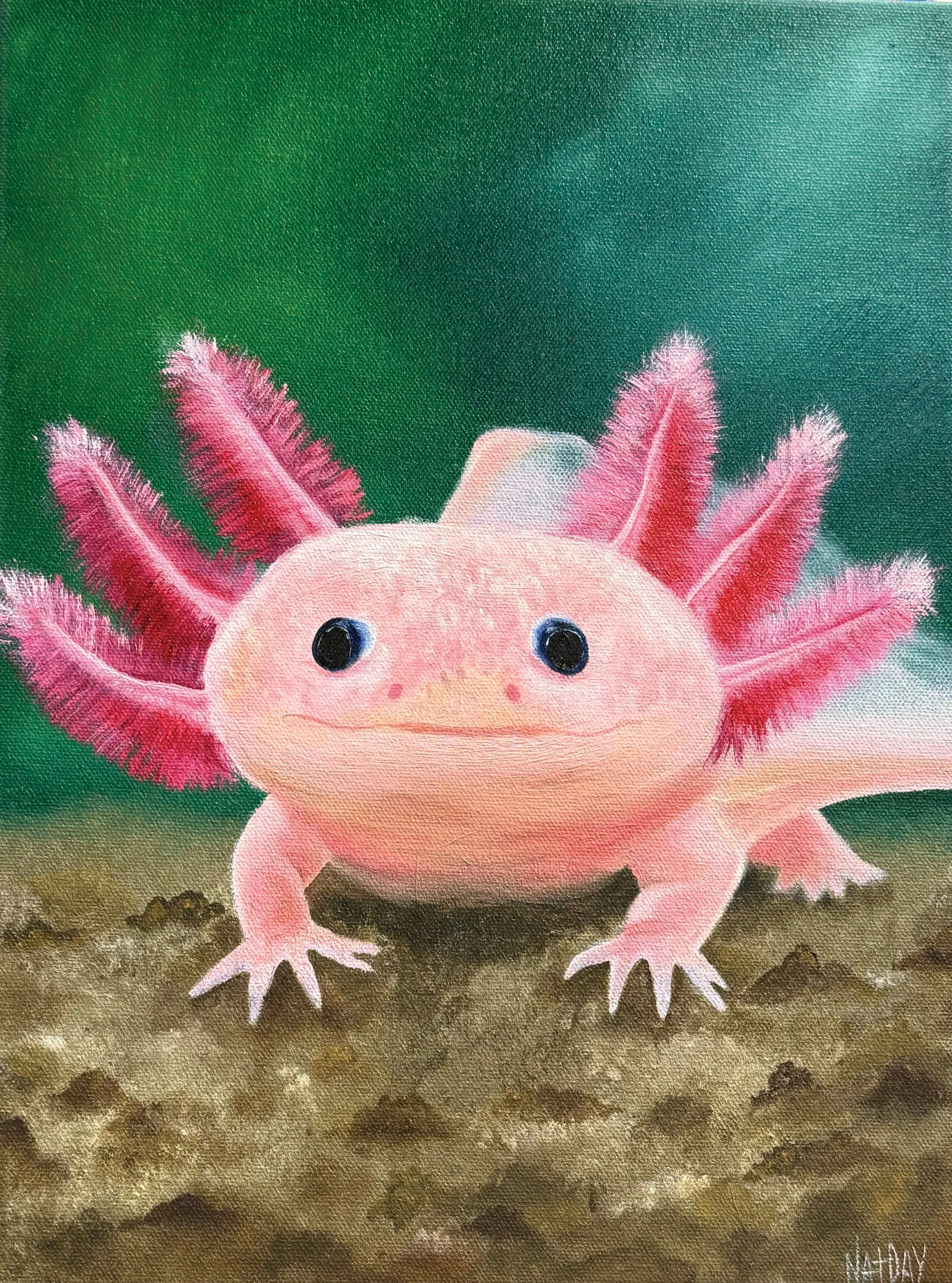 PinkytheAxolotl.jpg