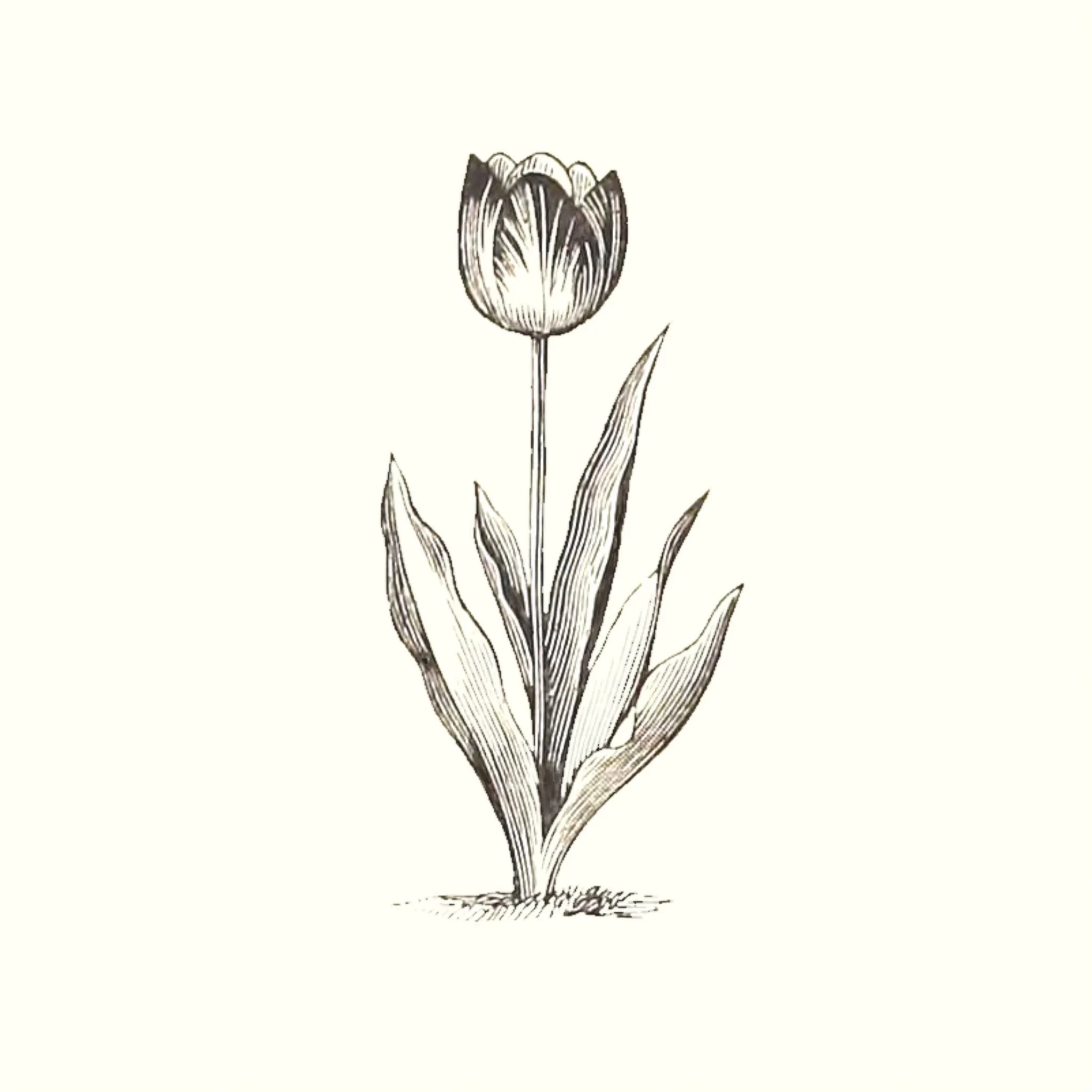 Orchestra Lagrandt - "Een Romantische Johannes Passion"