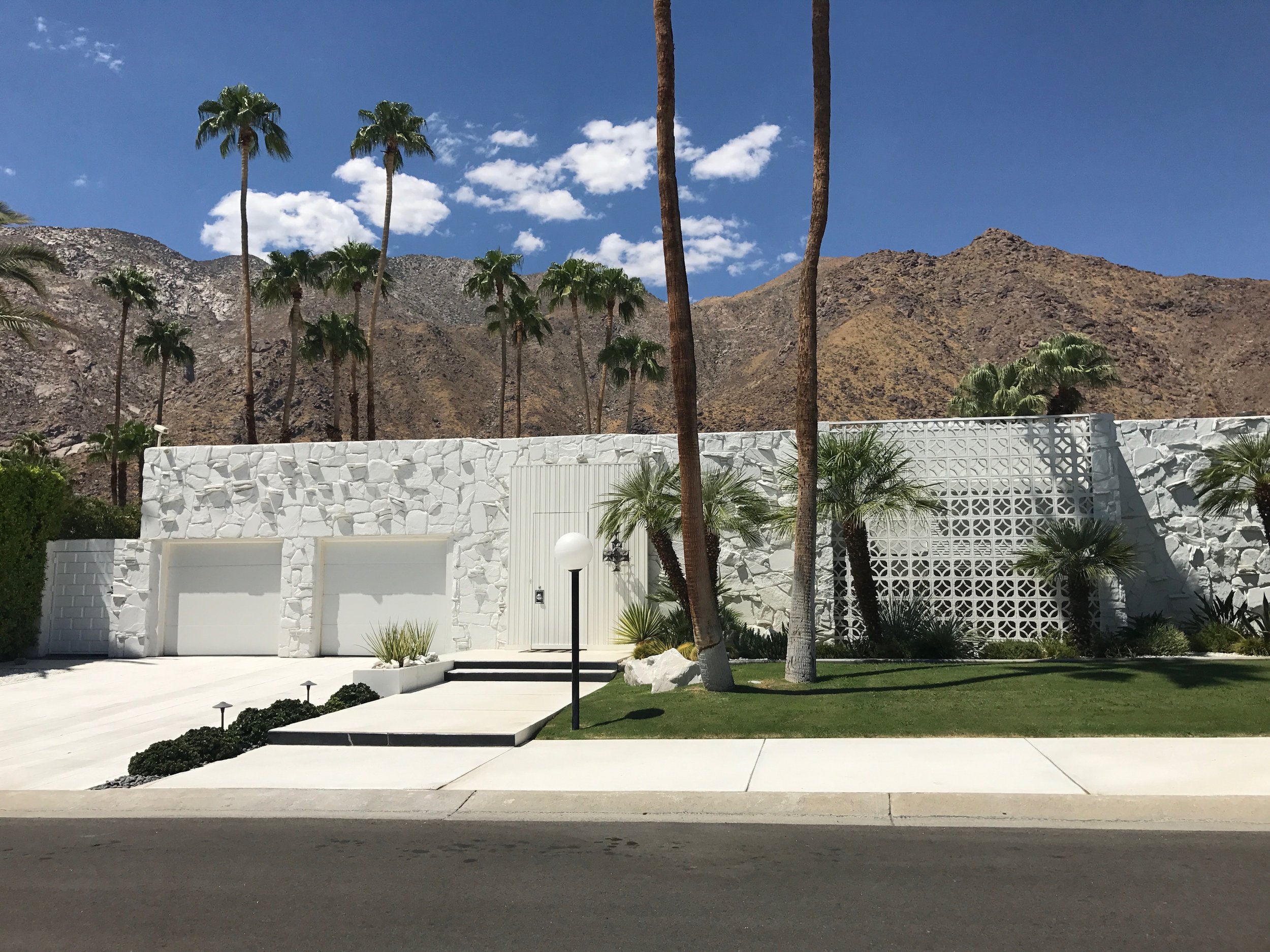 Palm Springs Print