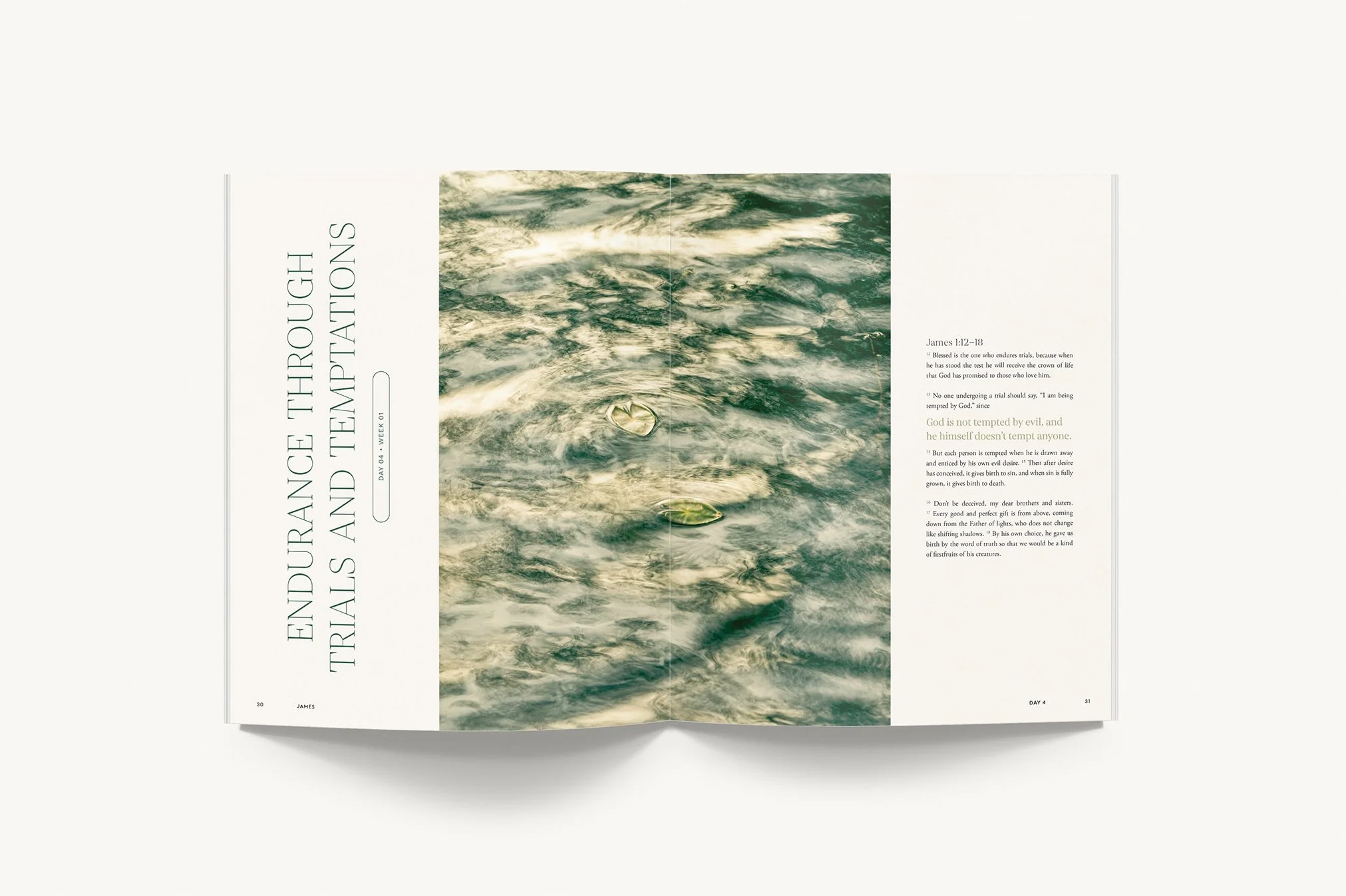 JamesInteriorLayout–5.jpg
