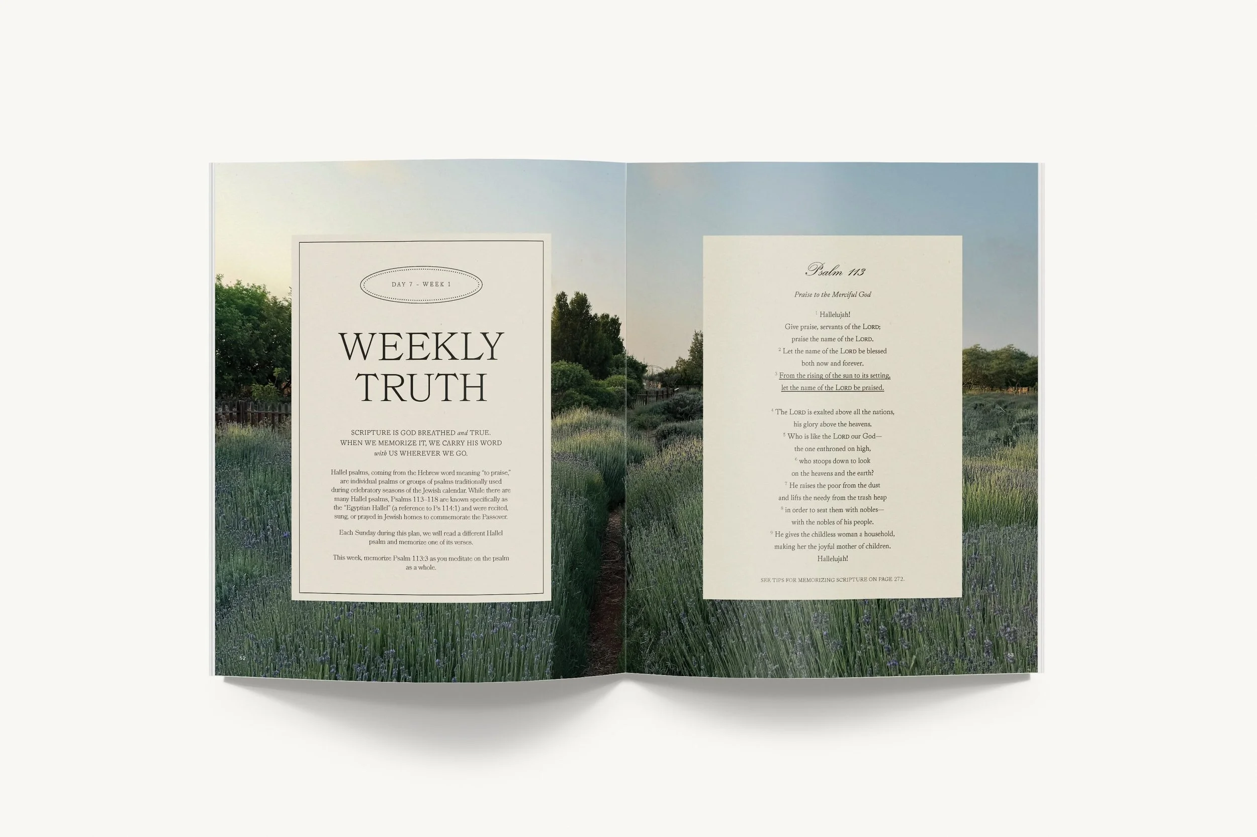 PsalmsLentInteriorLayout-4.jpg