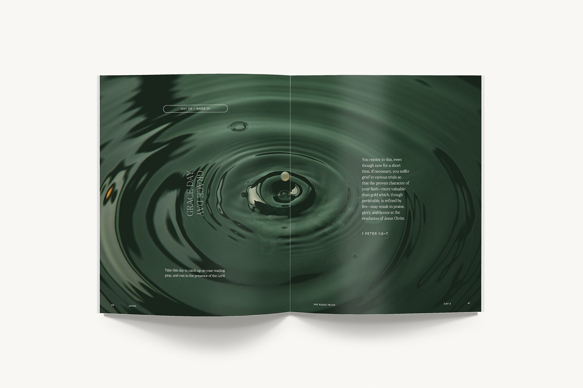 JamesInteriorLayout–1.jpg