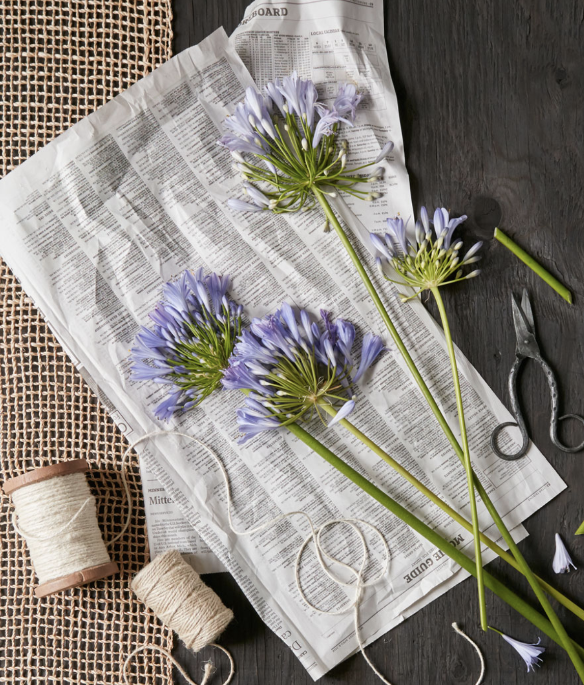 Screen Shot 2023-02-14 at 7.20.40 PM.png